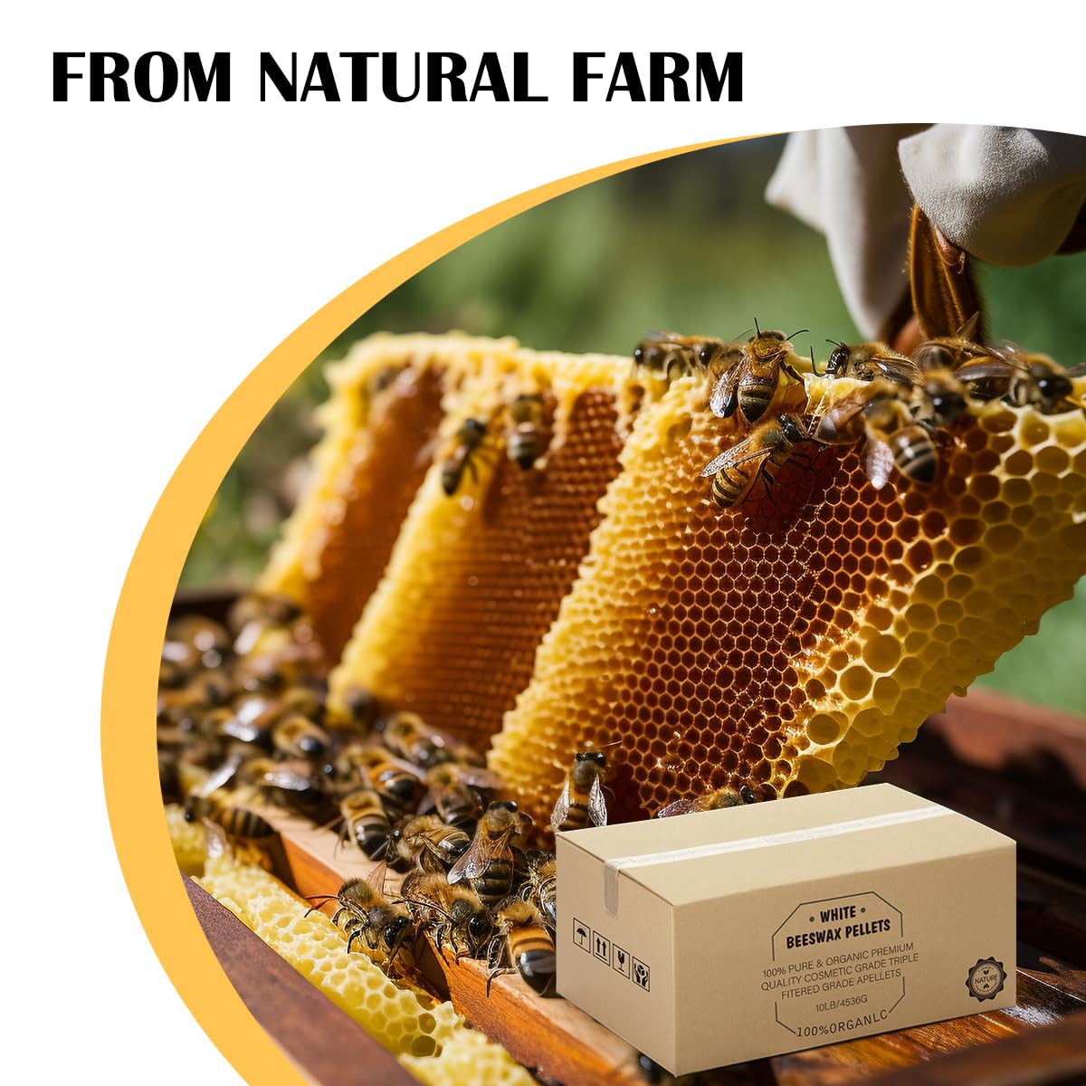 Beeswax Pellets 10LB, Organic White Bees Wax for DIY Candles, Beeswax for Candle Making, Skin, Body, Face, and Hair Care, Lotions, DIY Creams, Lip Balm and Soap Making Supplies
