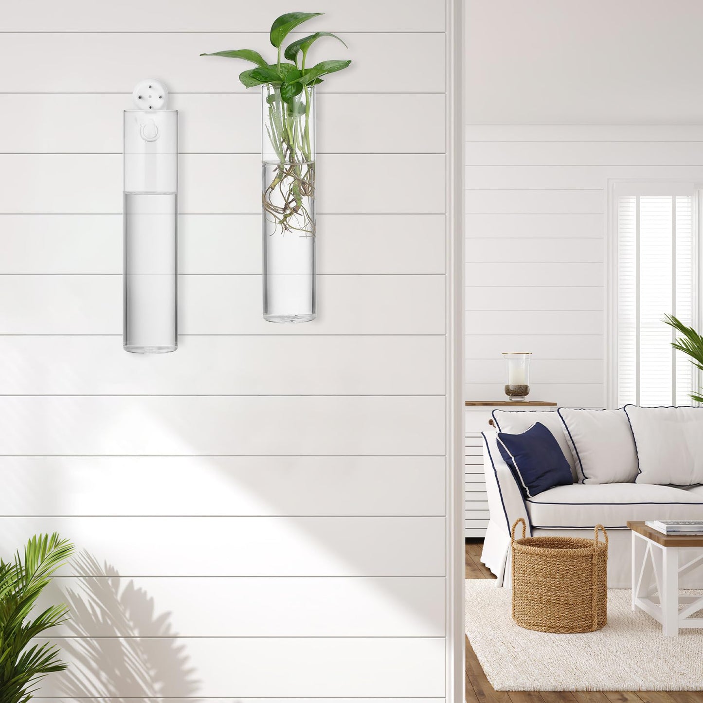 VINTORKY Wall Hanging Glass Cylinder Vases for Indoor Plants, 2pcs Hydroponic Terrarium Plant Holders, Glass Propagation Station for Home Décor