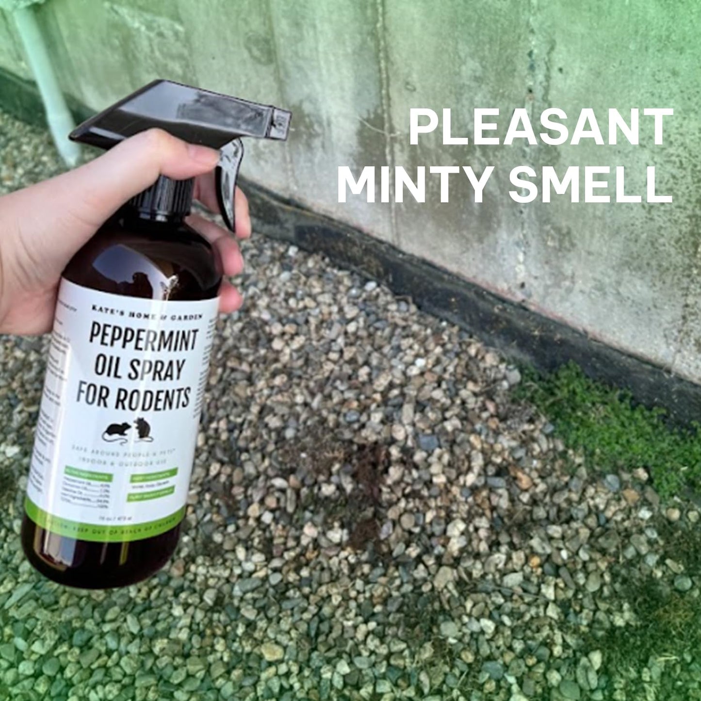 Kate Naturals Peppermint Oil Spray for Rodents, Squirrels, Mouse, Bat, Rat, Car Engines, Mice (16oz, Non-Toxic Rodent Repellent, Pet Safe)