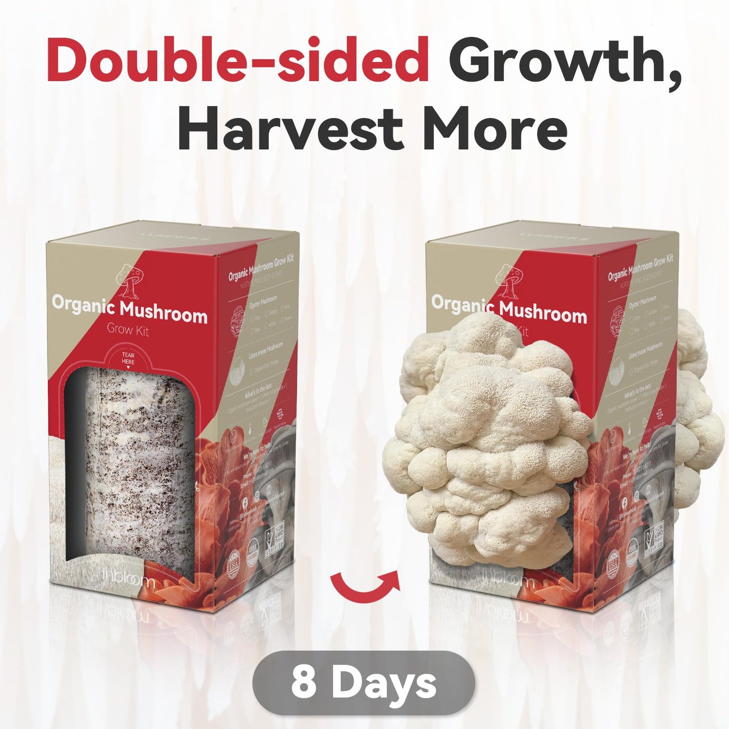 inbloom Organic Lion's Mane Mushroom Growing Kit with Spray, Harvest Fresh Mushrooms at Home, Beginner Friendly & Easy to Use, Unique Gardening Gift for Holiday, Handmade in New Jersey, USA