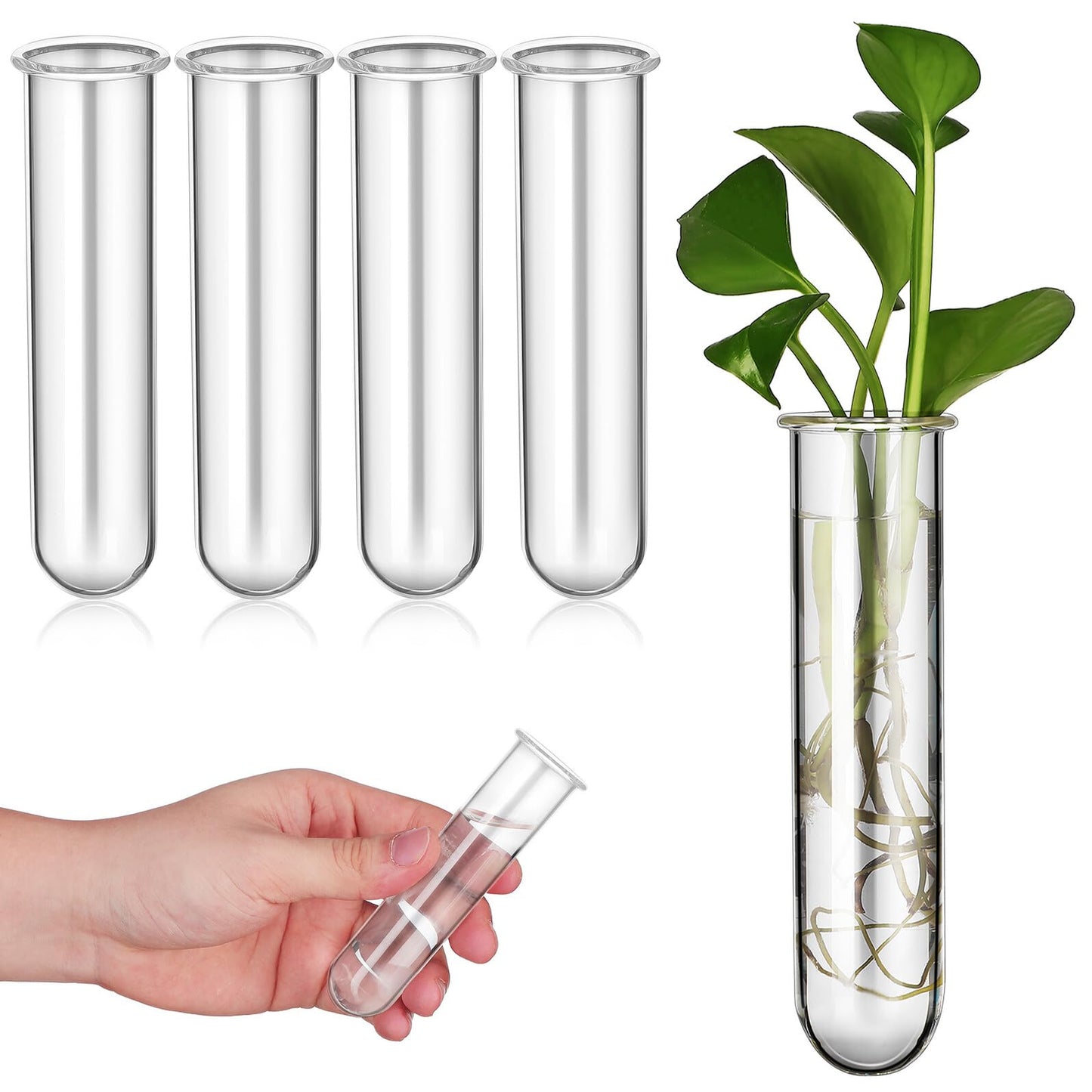 LIFKOME 5pcs Glass Test Tube Plant Vases 2.5x3x11cm Hydroponic Flower Tubes Propagation Station for Indoor Terrarium Gardening