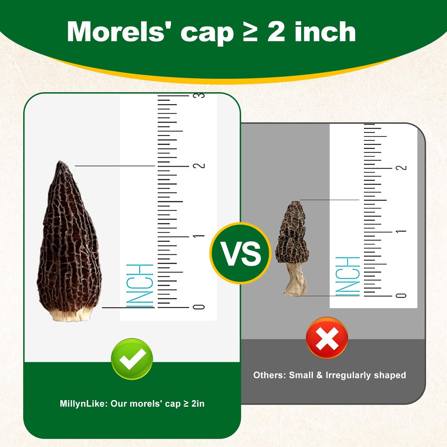 MillynLike Dried Morel Mushrooms Trimmed Stems & Large Caps (2+ Inches) | 2oz Gourmet Morchella Conica, Premium AAA Grade100% Natural without additives for cooking