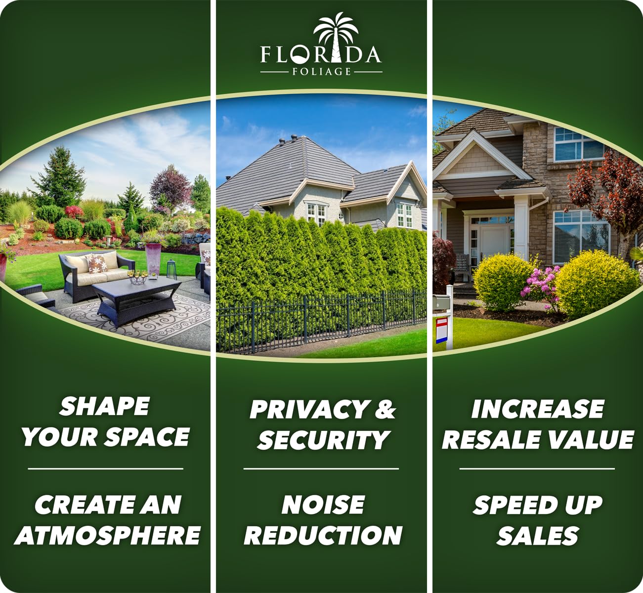 Bird of Paradise - Orange | Large Trade Gallon Size Plant | Strelitzia Reginae | Tropical House Decor, Indoor Foliage, Exotic Houseplant, Easy Care, Fast Growing, Flowering Accent, Unique Leaves