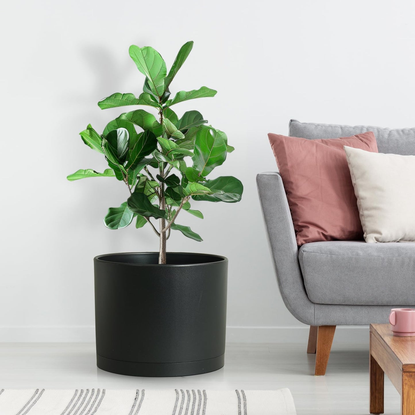 DGJDLWHX Large Plant Pots Set of 3 – 8", 9", 10" Indoor Flower Pots with Drainage Holes and Saucers, Big Planters for Monstera, Fiddle Leaf Fig, Snake Plant – 5 Colors