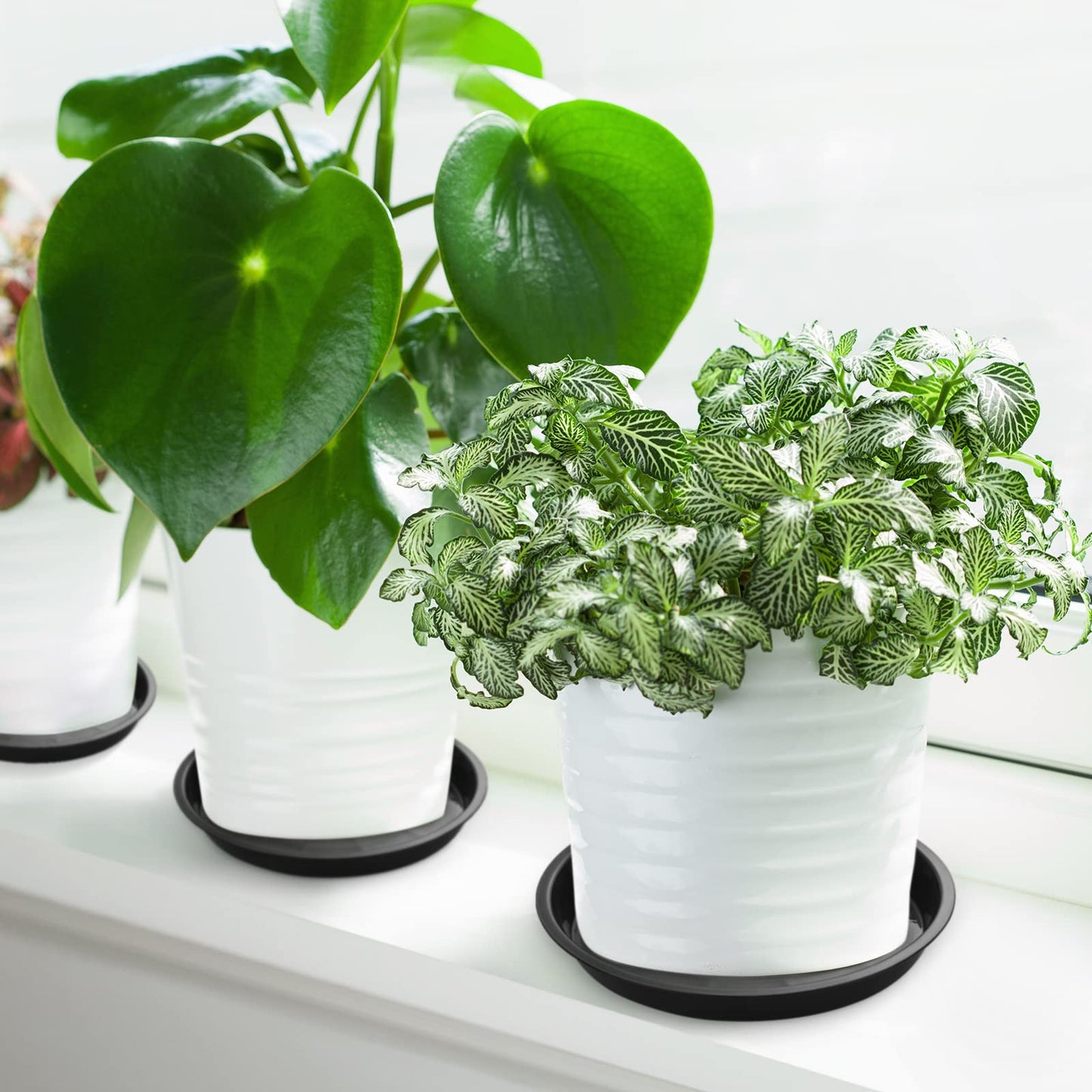 Honeydak 48 Pieces Plant Saucer Potted Plant Trays Round Plastic Drainage Tray Sturdy Drip Flower Saucers for Potted Indoor Outdoor Home Garden, 4/6/ 8/10/ 12/13 inches (Black)