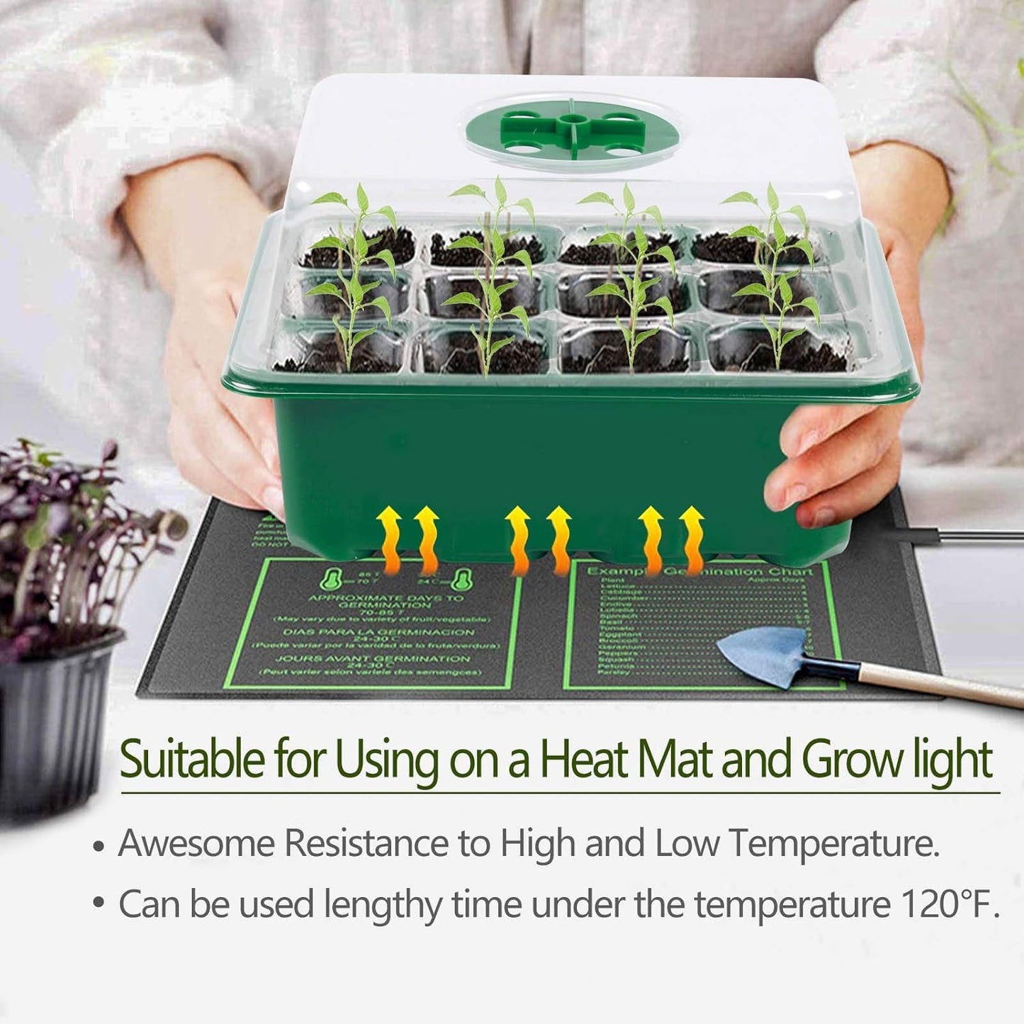 Hdeoops Seed Starter Tray, 12 Set Seedling Kits with Adjustable Humidity Dome, Plant Starter Kit for Seeds Growing Starting (12 Cells per Tray)