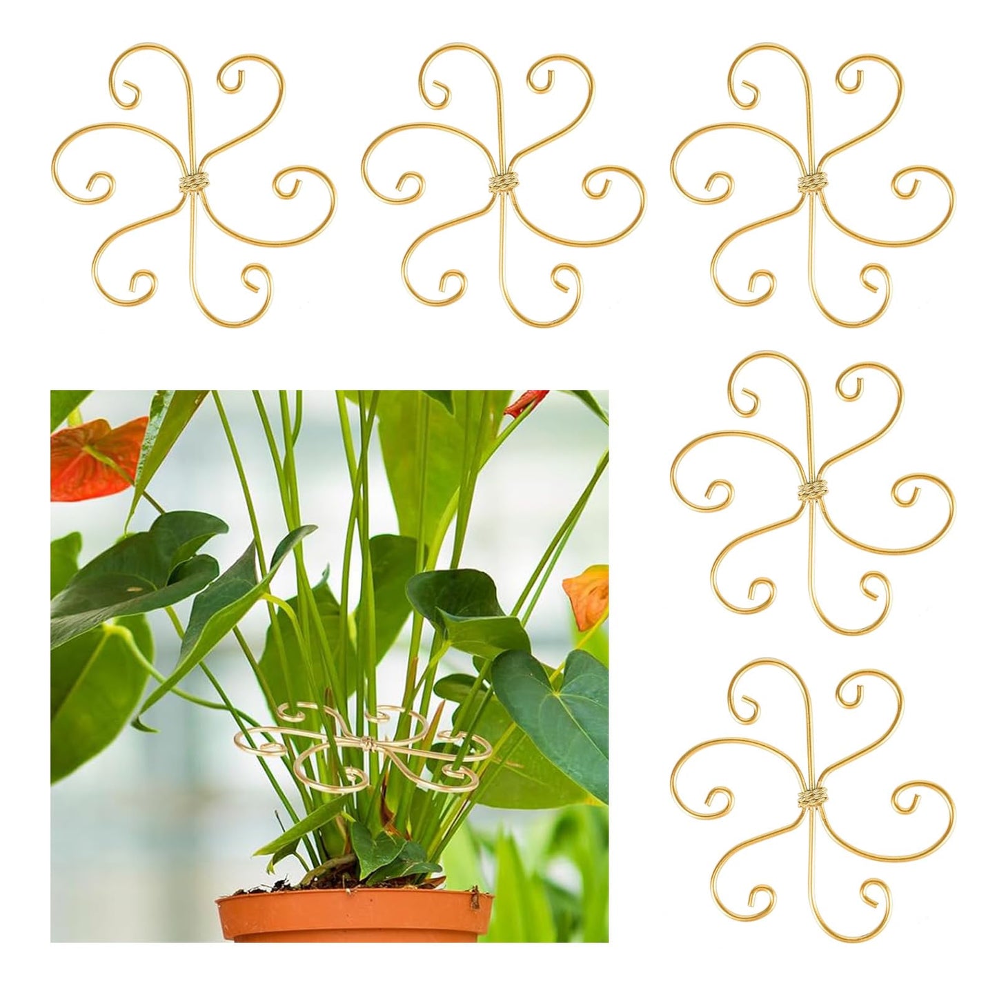 5 Pcs Plant Stem Support, Iron Monstera Plant Support, Durable Hook Stem Supports for Healthy Growth, Bamboo Clamp Set for Leaf Stabilization and Support, Ideal Present for Plant Lovers (6.5IN*6.5IN)