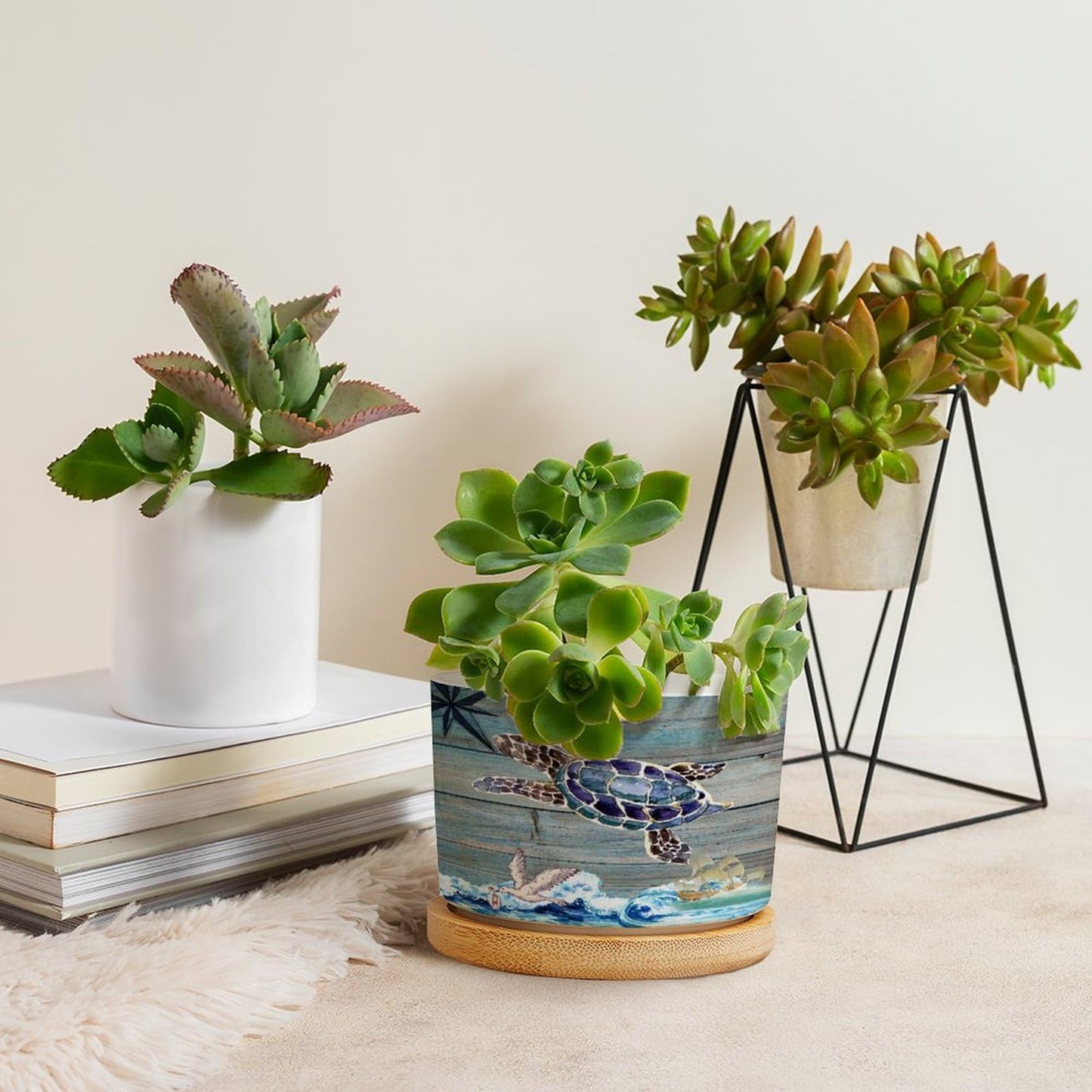 DreamAutumn Ocean Theme Sea Turtle Planter Ceramic Round Plant Pots with Drainage Holes and Bamboo Tray Planting Small Flower Pots for Home Windowsill Desk Garden Indoor Outdoor Use