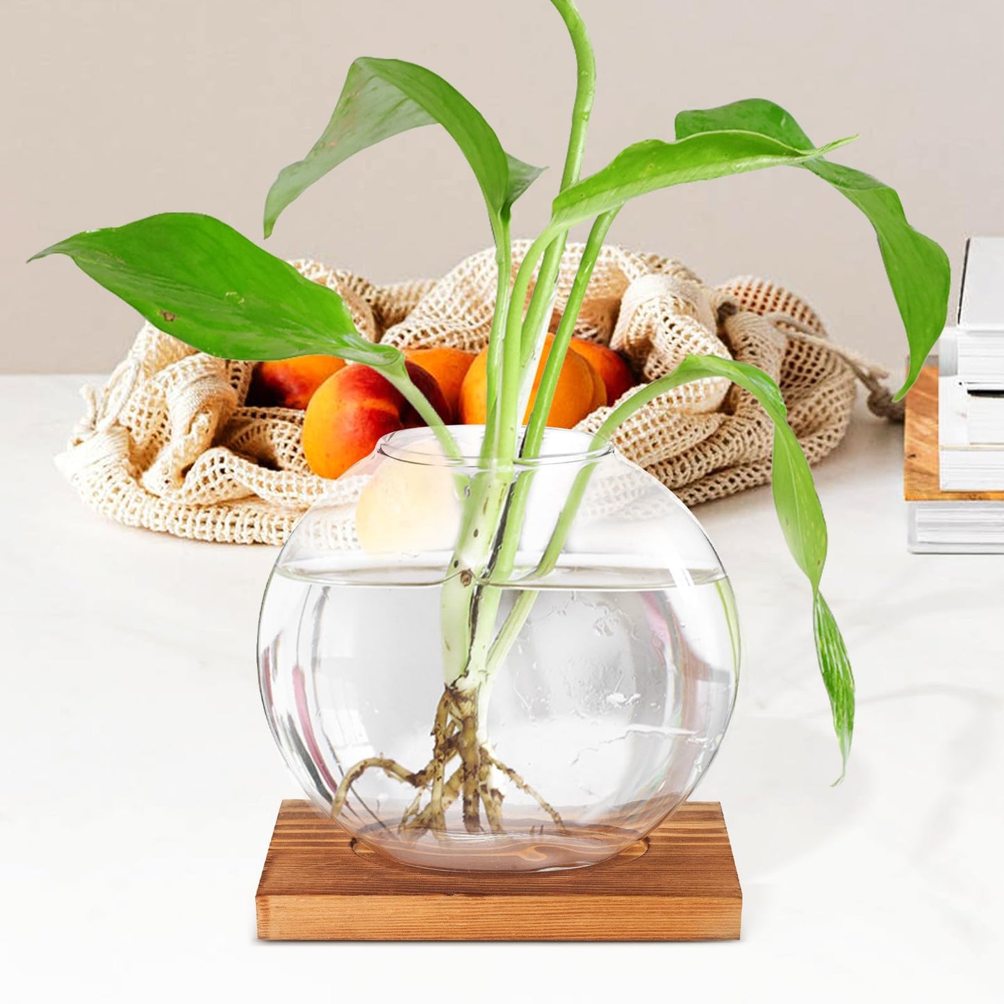 BESPORTBLE Hydroponic Glass Plant Vase with Wood Base, Glass Propagation Station for Desk Decorations, Indoor Home and Office Terrarium Planter for Greenery Display