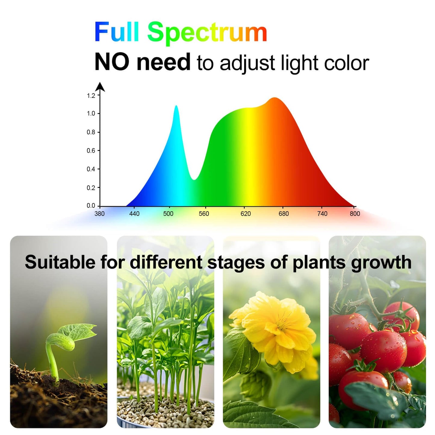 JINHONGTO Grow Light with Stand and Timer 4,8,12,16,20 Hr, 36 Watt Standing Tall Plant Light for Bonsai Tree, Seed Starting, 24"-64" Adjustable Tripod Stand Plant Growing Lamps