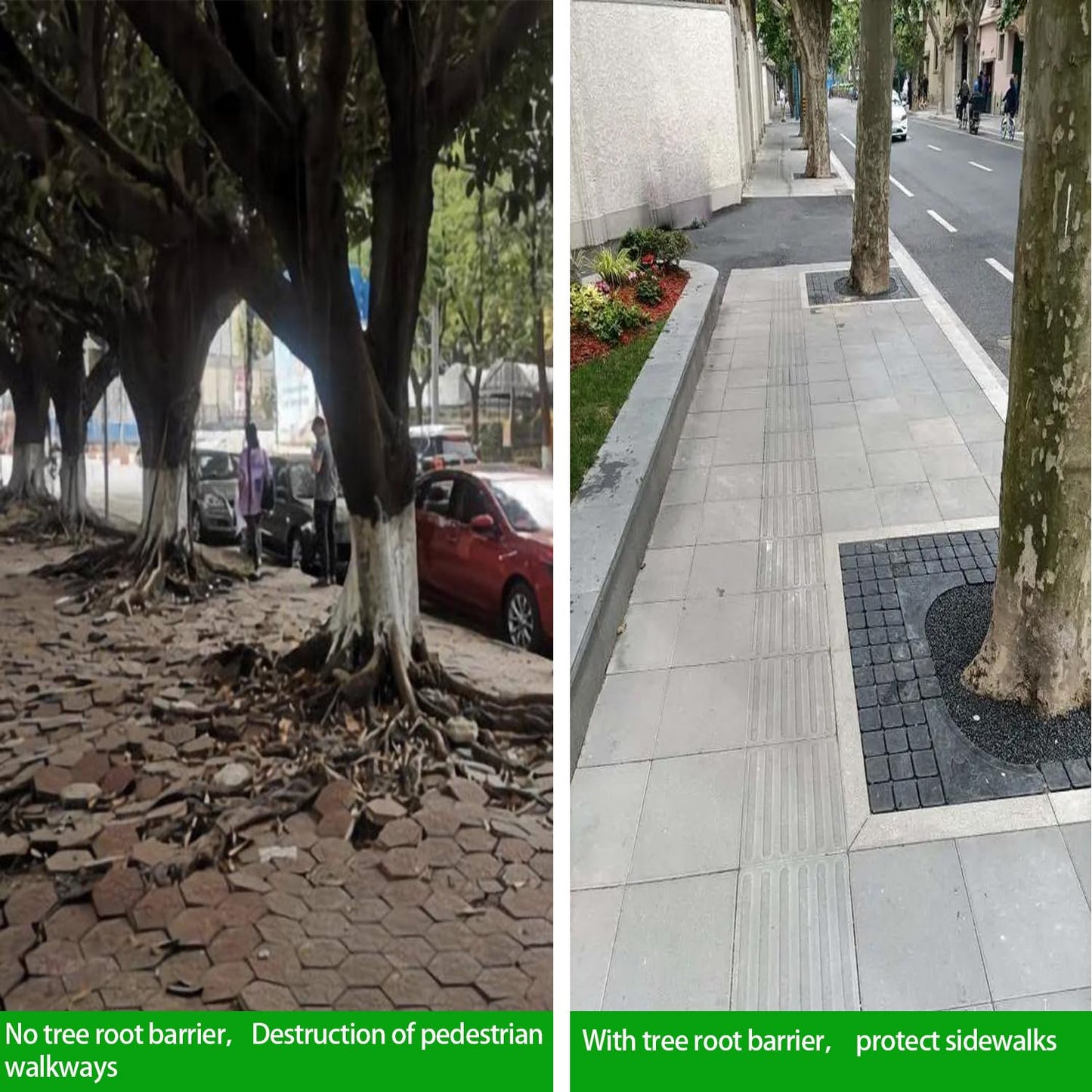 50ft x 24in x 60mil Tree Root Barrier for Landscaping & Protect Roads | Bamboo Barrier Heavy-Duty Root Blocker Rhizome Control Barrier