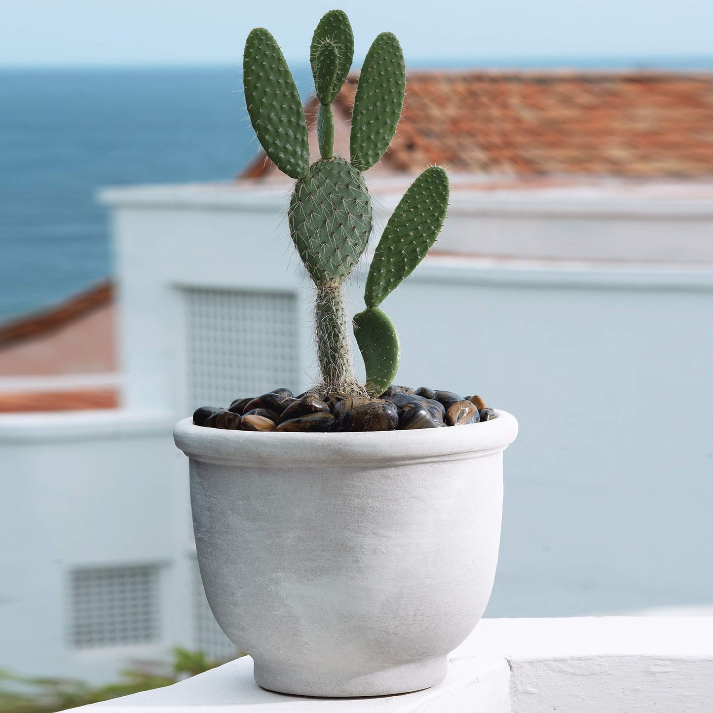 Crescent Garden Agave Planter, Classic Lightweight Resin Planter - UV-Resistant Flower Pots - Indoor & Outdoor Pot for Flowers, Houseplant, Herbs, 21" W x 17" H (Caviar Black)
