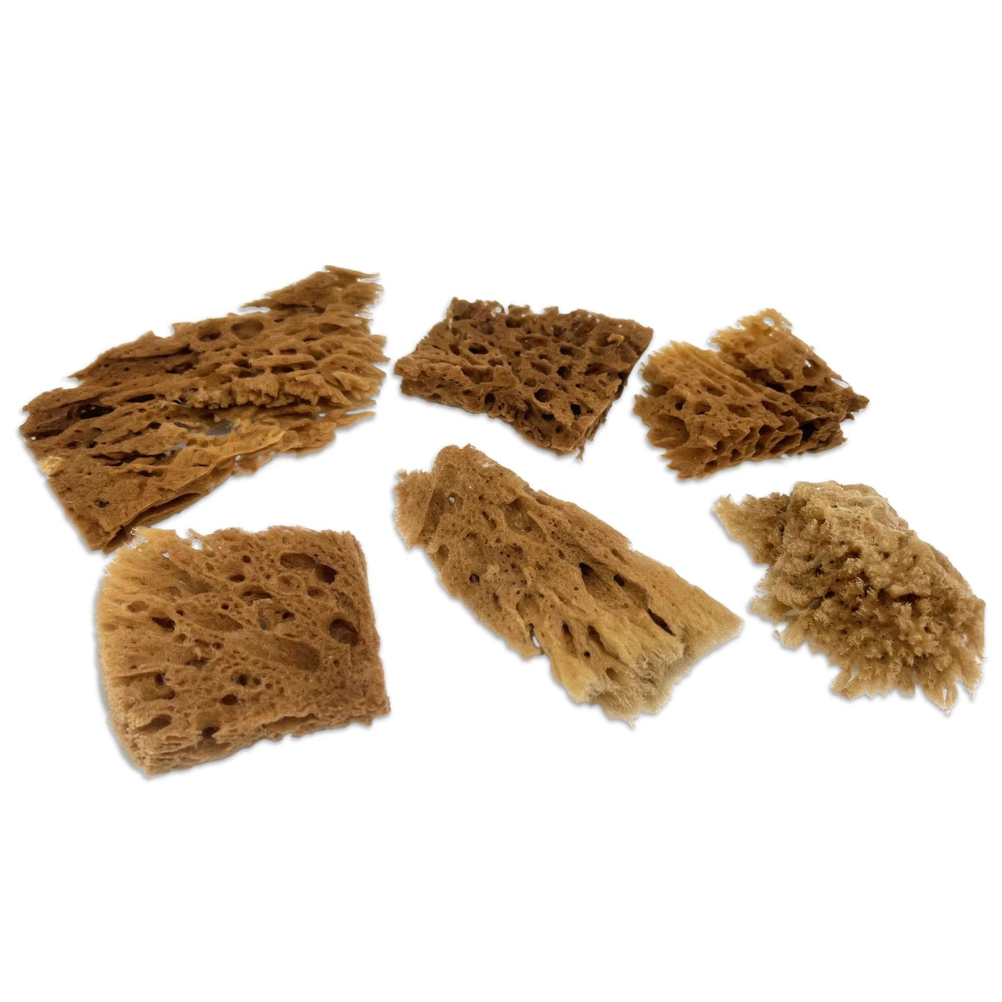 Lullingworth® Artist Natural Sea Sponges: Unbleached 10 Pack 2-4 inch Value Tool Set-Faux Painting Effects, Acrylic Paint, Watercolor, Texturing, Marbling, Clay, Pottery, Ceramics, Crafts & Hobby