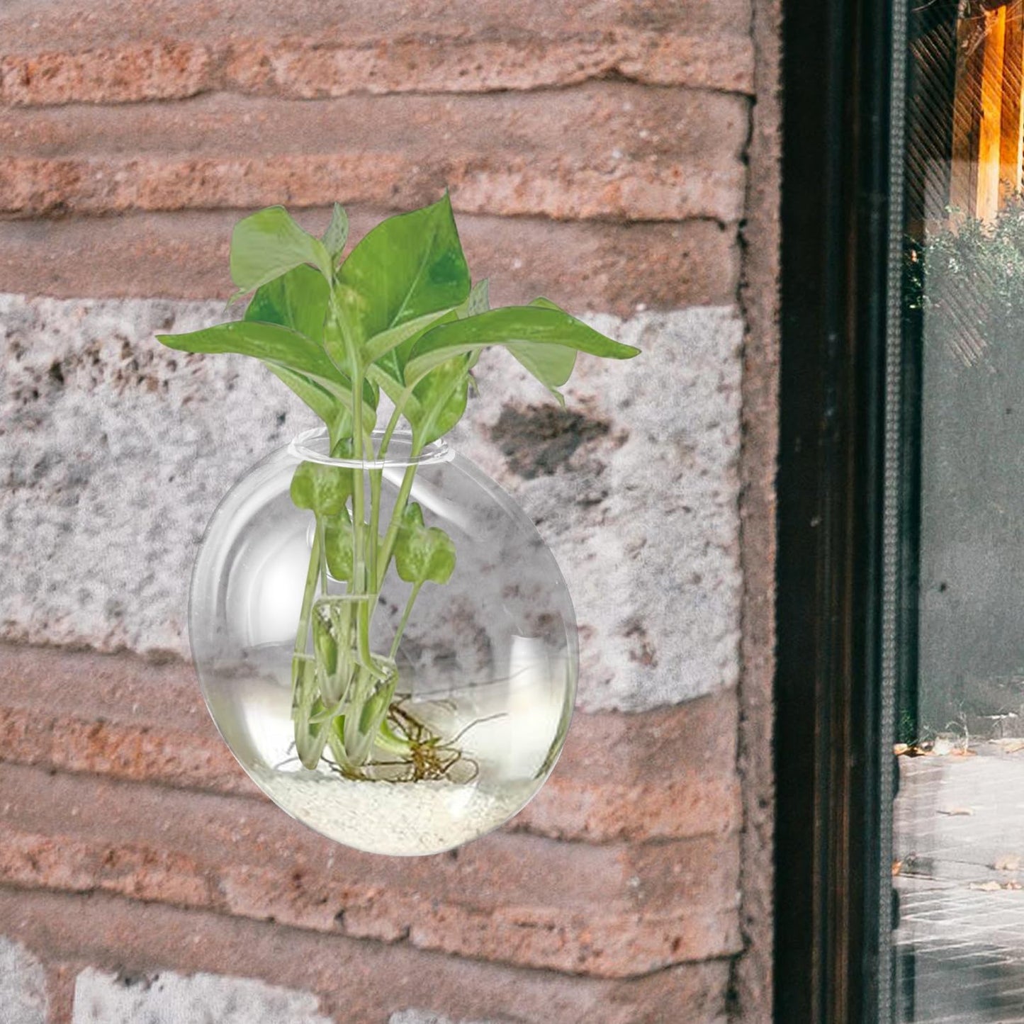 Beaupretty Wall Mounted Hydroponic Planter Vase, Glass Terrarium for Indoor Plants, Small Hanging Wall Vase for Home Décor, 1pcs
