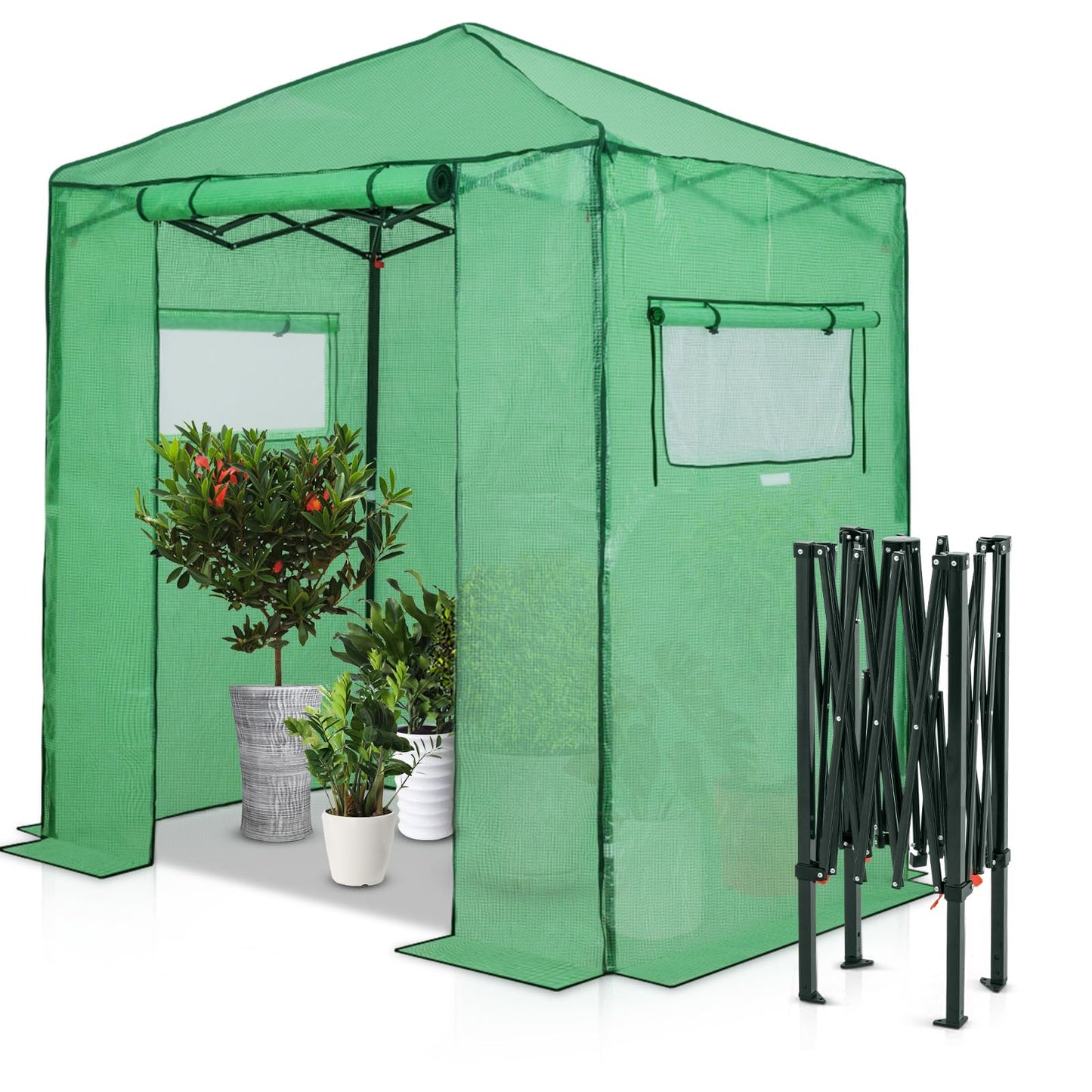 EAGLE PEAK 6x4 Portable Walk in Greenhouse, Pop Up Indoor Outdoor Greenhouse, Green House Kit with Zippered Roll-Up Doors and Windows, PE Cover, Clear/Green