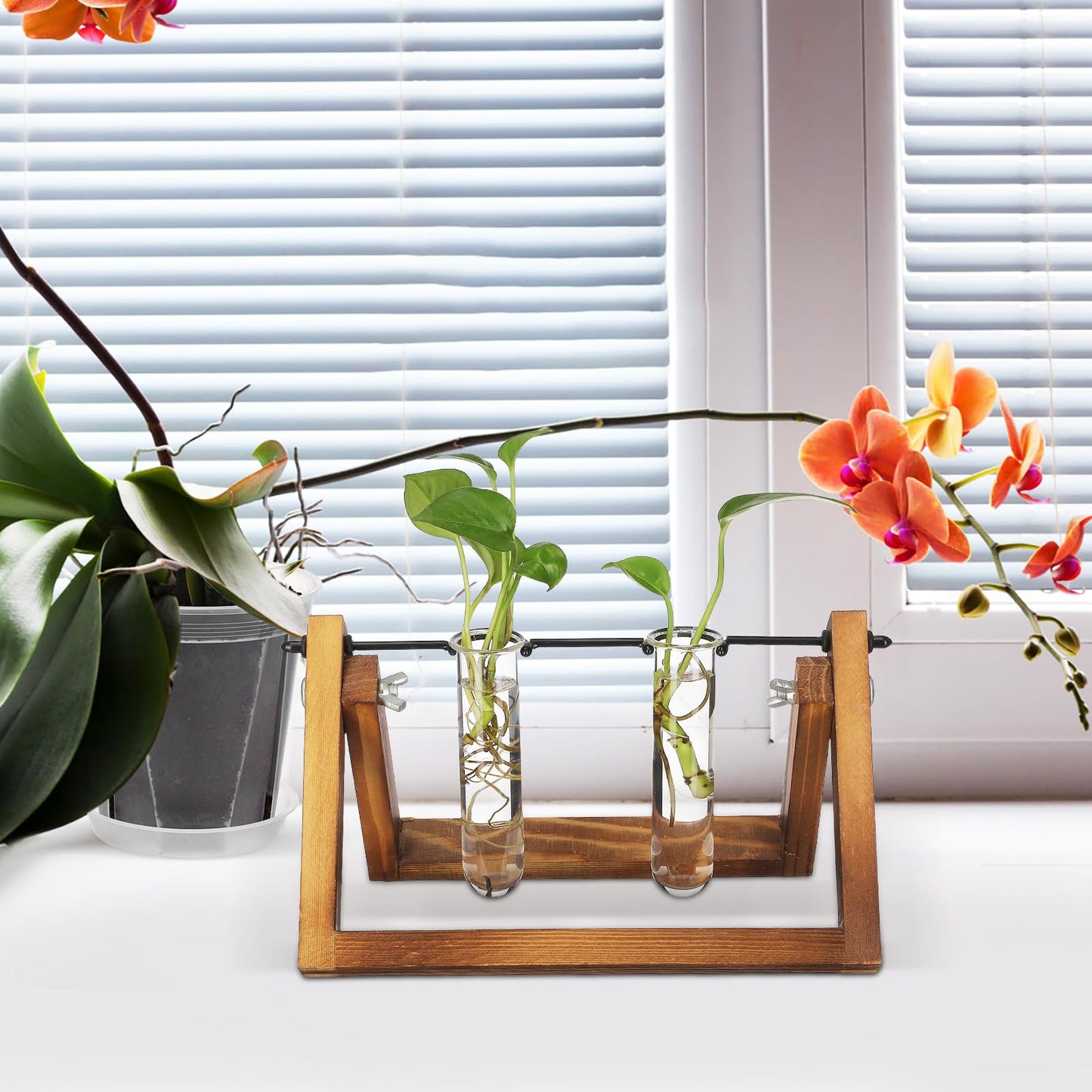 Healvian 5pcs Glass Test Tube Hydroponic Plant Vase Propagation Station for Desk Small Terrarium Flowers Home Décor 2.5x3x11cm