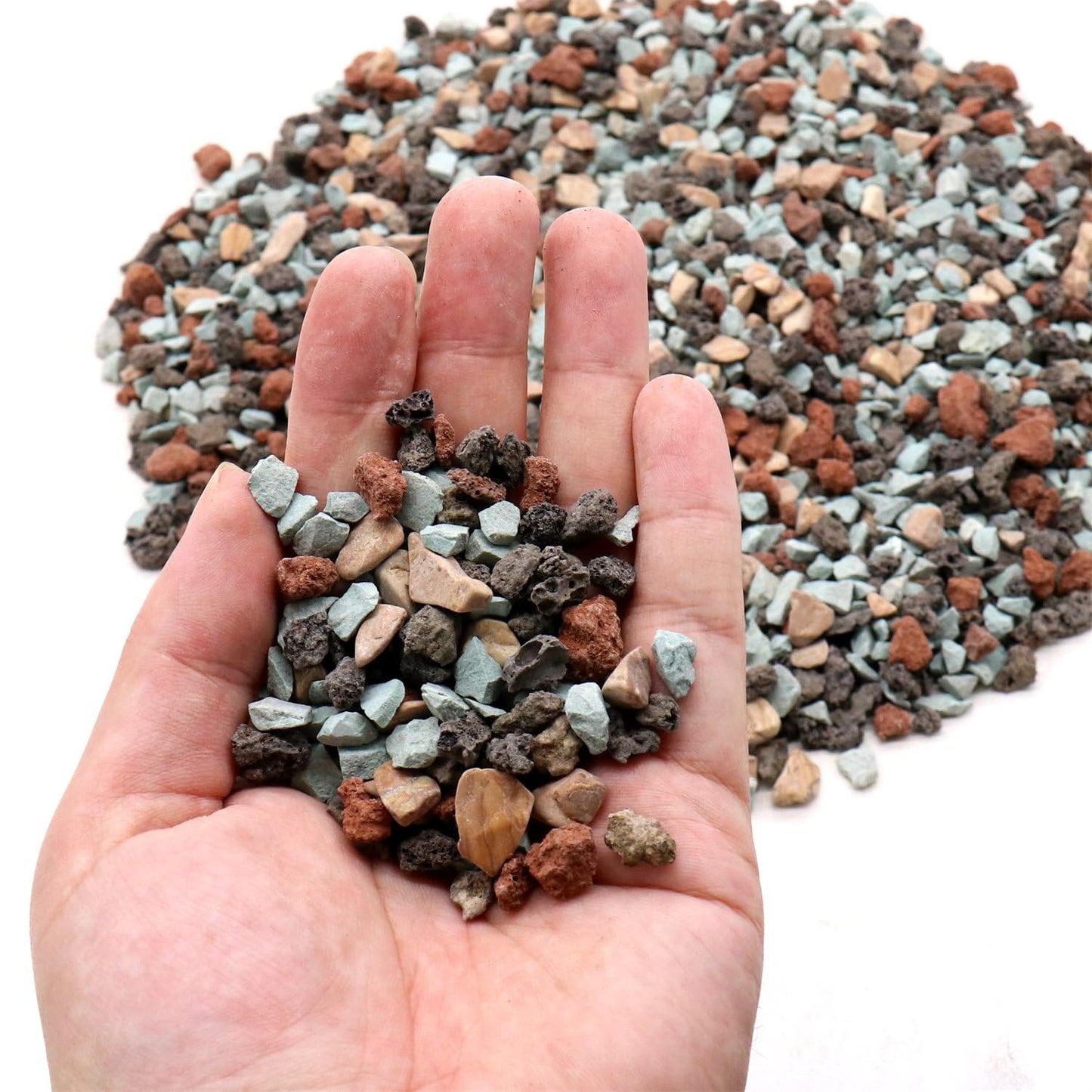 Volcanic Rock for Plants. Gritty Mix. Mixed Color Lava Rock. 1/5 Inch - 10 lbs for Potting Succulents, Pots, Plants, Gardening, Indoor, Crafting, Vase Fillers