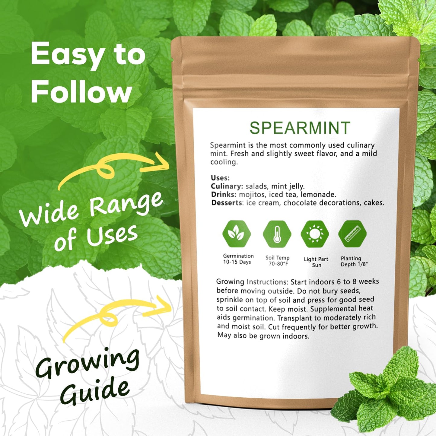 PLANTMEW Mint Seeds for Planting - 3500 Spearmint Seeds, Non-GMO & Heirloom Perennial Herb Seeds for Indoor/Outdoor Herb Garden, Tea, Cocktails (1 Pack)