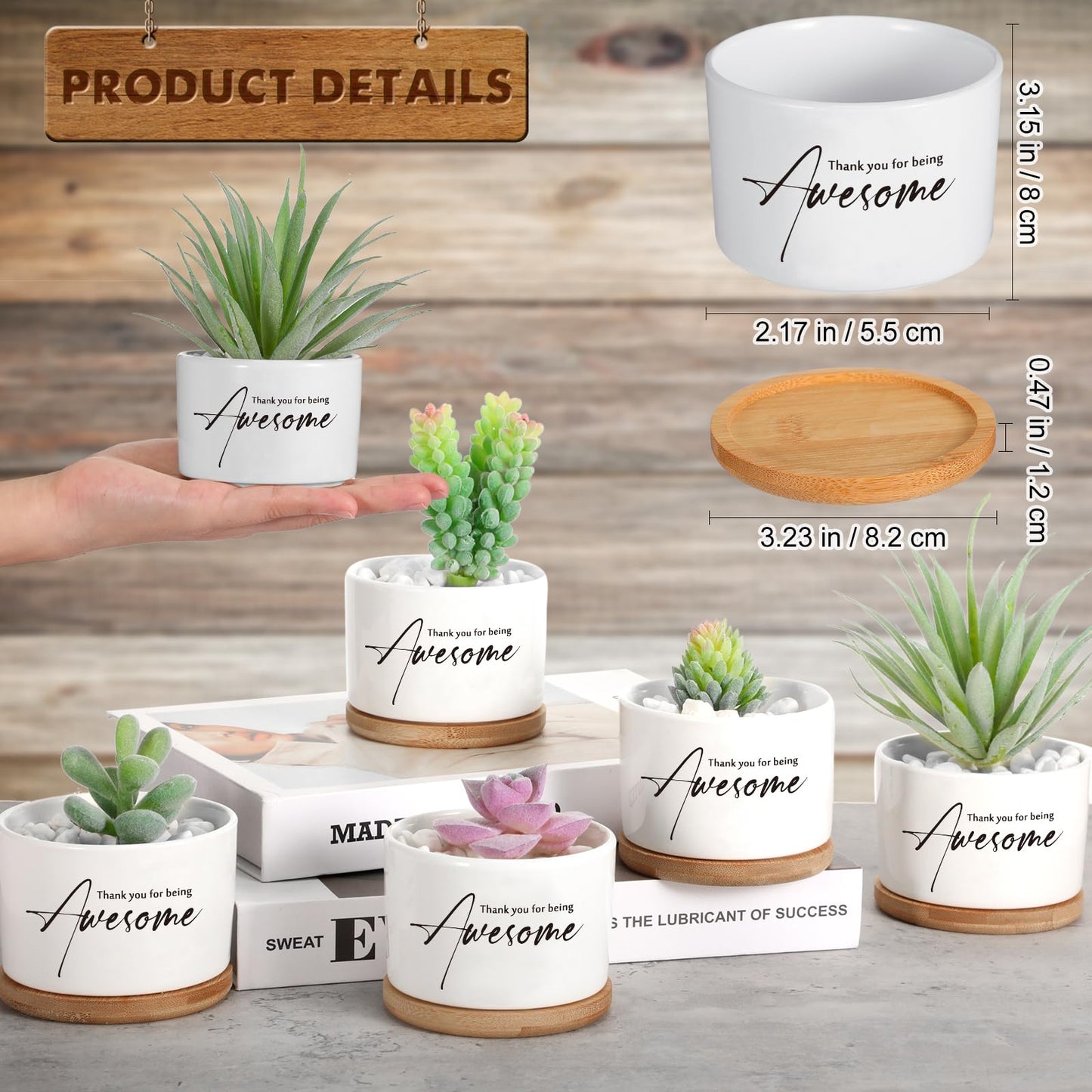 12 Pack Teacher Appreciation Gift Thank You Succulent Ceramic Mini Pots Nurse Week Gift with Bamboo Tray Succulent Planter for Employee Memorial Day Office Team Volunteer Desk Decor, Plants Excluded