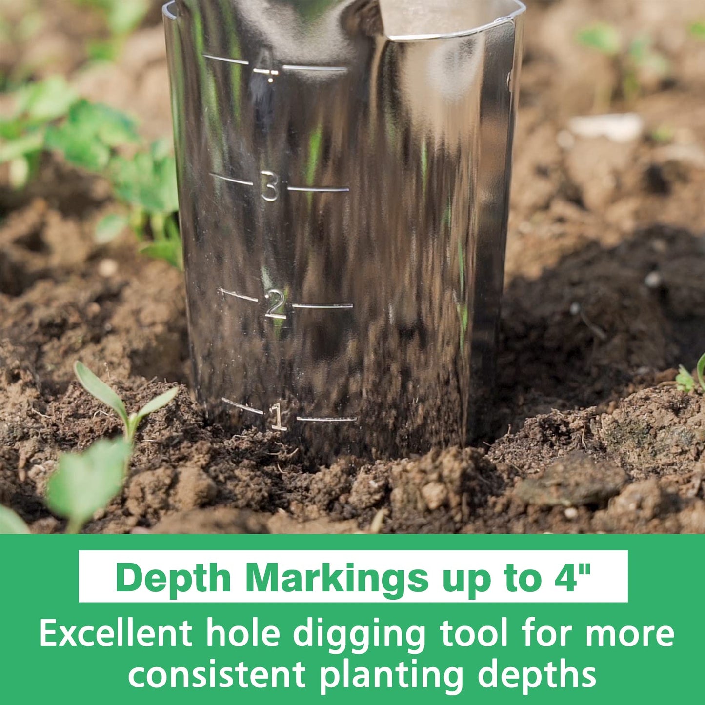 Berry&Bird Garden Bulb Planter with 4 Inches Depth Mark, Stainless Steel Gardening Bulb Transplanter Tool with Short Handle for Planting Flowers Tulips, Daffodils, Lily, Dahlias