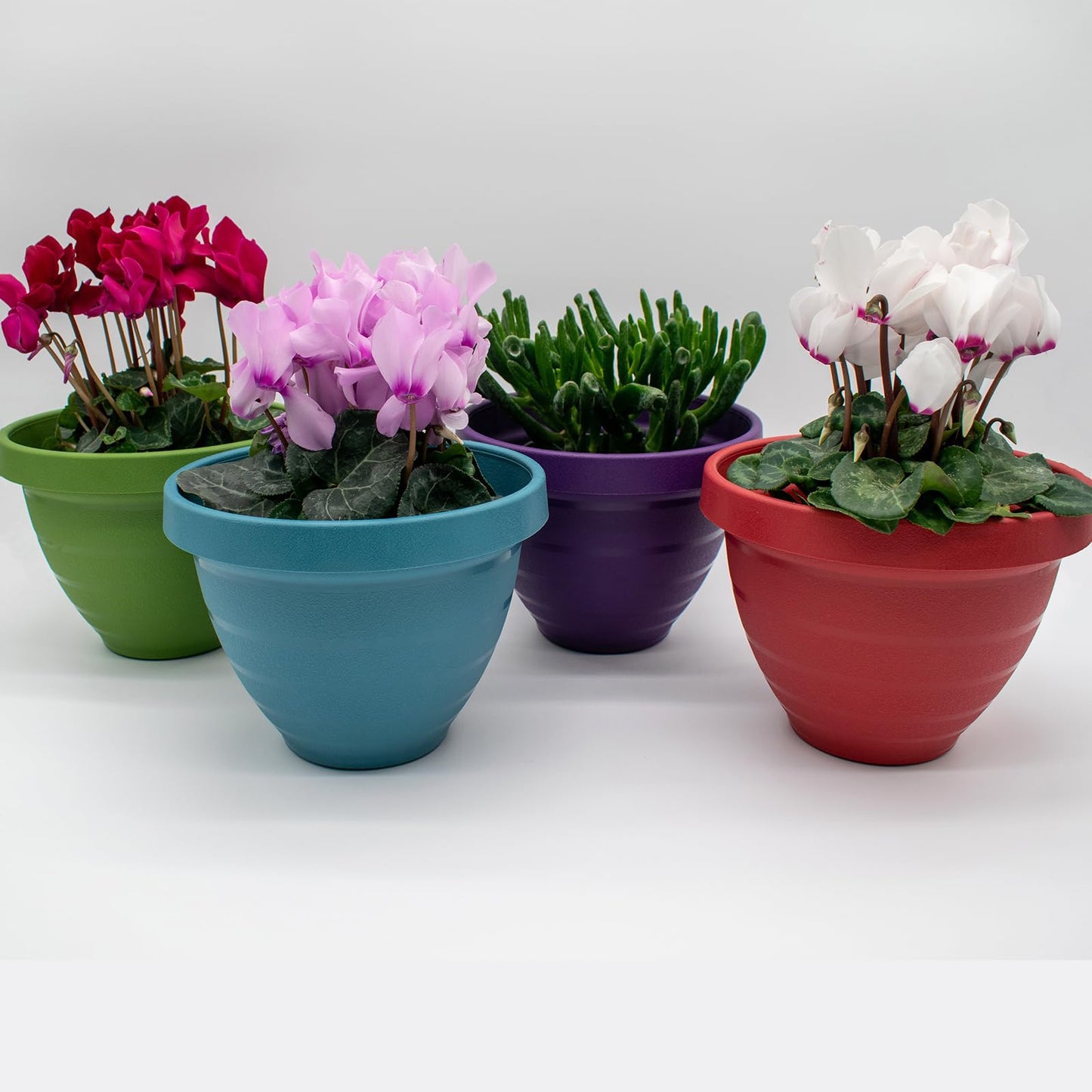 The HC Companies Rings Flower Planter - Self Watering Plant Pots for Herbs & More - Round Lightweight Outdoor & Indoor Planter (8" Green, Pack of 2)
