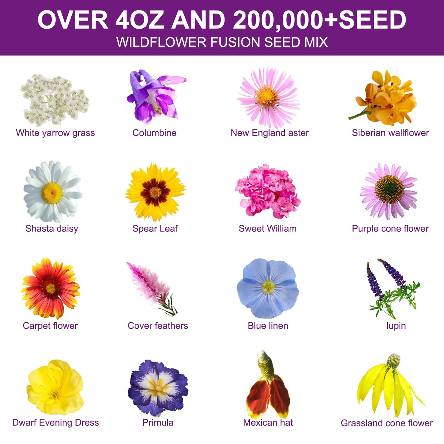 200,000+ Wildflower Seeds [4oz] 16 Variety Perennial Mix - Heirloom Seeds for Pollinator Gardens | Attracts Bees/Birds/Butterflies | High Germination Rate for Indoor & Outdoor