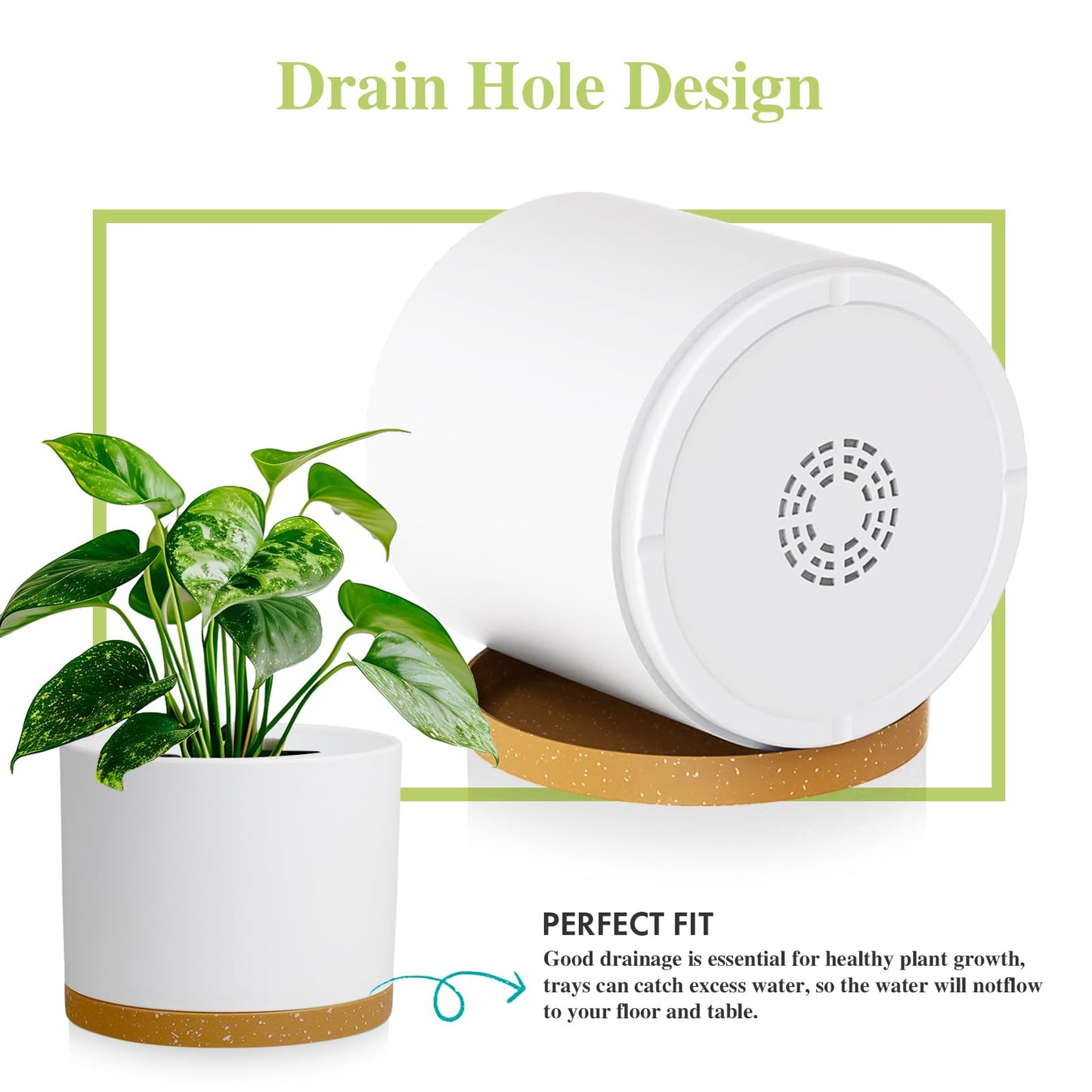 DGJDLWHX Large Plant Pots Set of 3 – 8", 9", 10" Indoor Flower Pots with Drainage Holes and Saucers, Big Planters for Monstera, Fiddle Leaf Fig, Snake Plant – 5 Colors