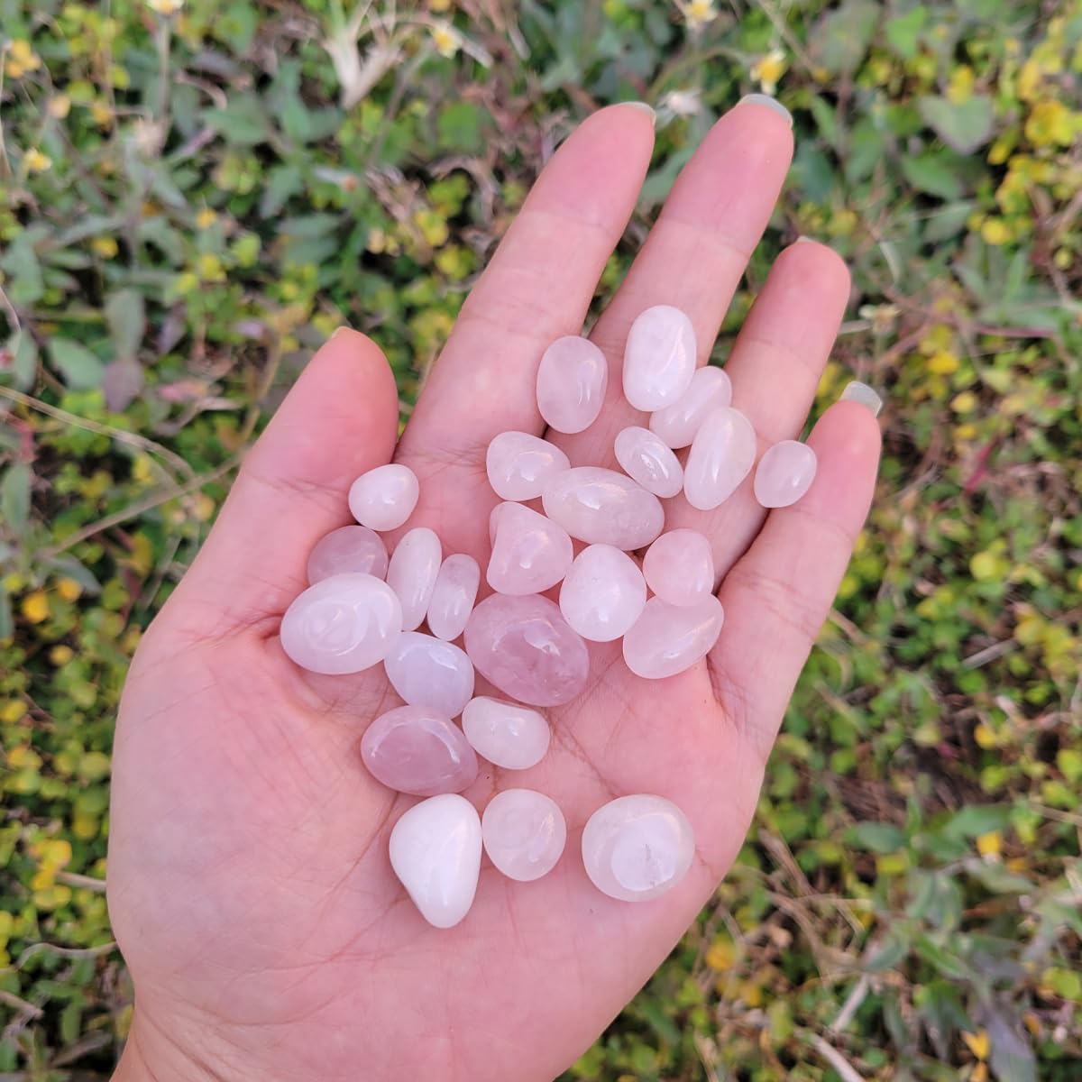 1,000 Carats Rose Quartz Handpicked Tumbled Stones Crystals Chips Bulk Pocket Stones for Healing, Reiki, Meditation, Witchcraft and Home Decorations (Rose Quartz)
