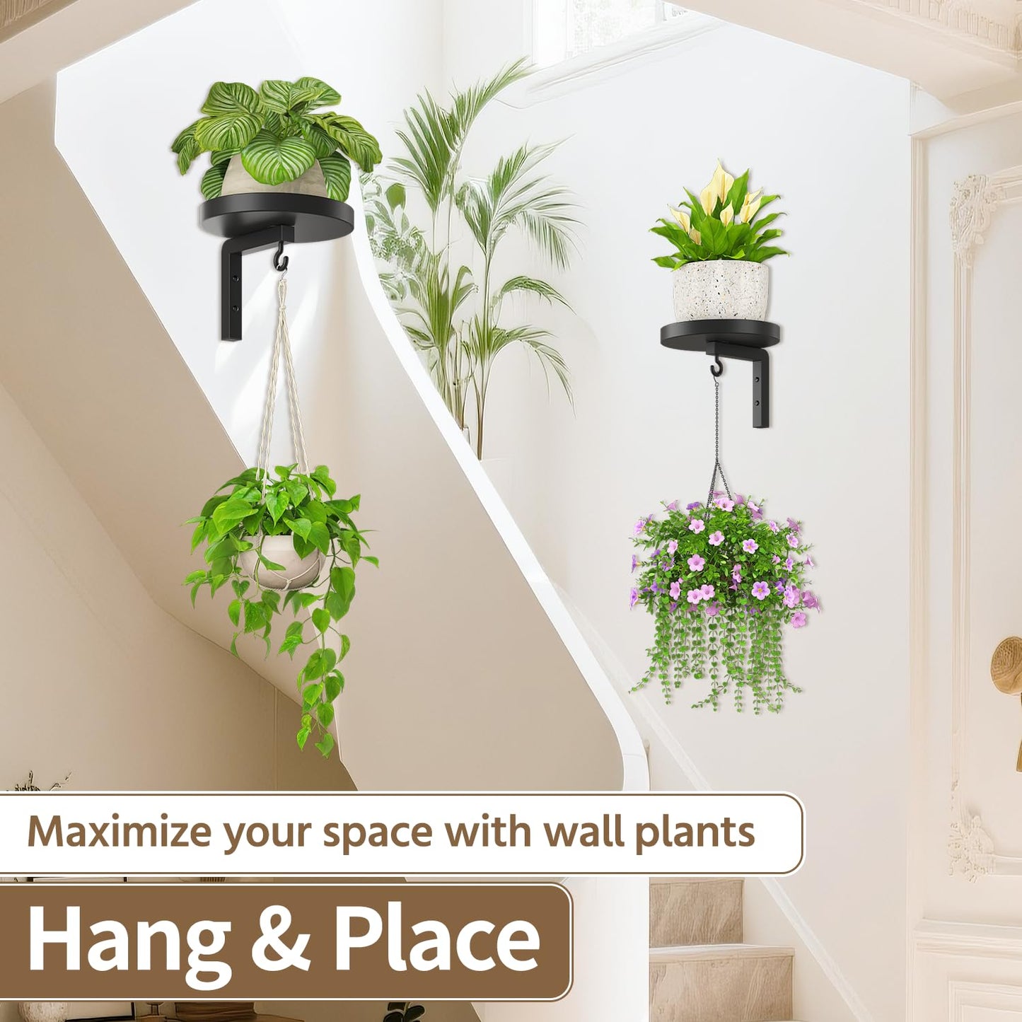 LASZOLA Plant Hangers Shelves Wall Mounted Indoor, Metal Window Plant Holders, 3Pcs Modern Floating Flower Display Stand with 3 Hooks for Outdoor Kitchen Bathroom Decor, Black