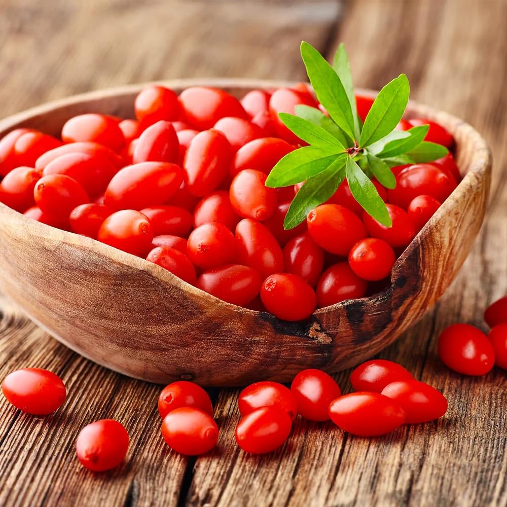 2 Goji Berry Plants Live, 5-9 Inch Tall, Red Goji Berry Bush Live Shrub to Grow Indoor Outdoor Home Garden