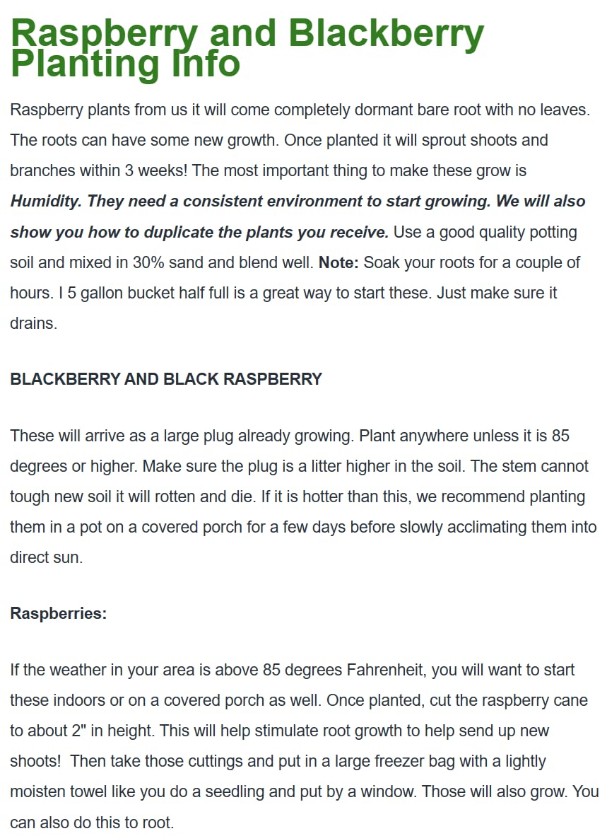Heritage Raspbery - 2 Red Raspberry Plant - Free Plant Boost Included! Everbearing - Organic Grown