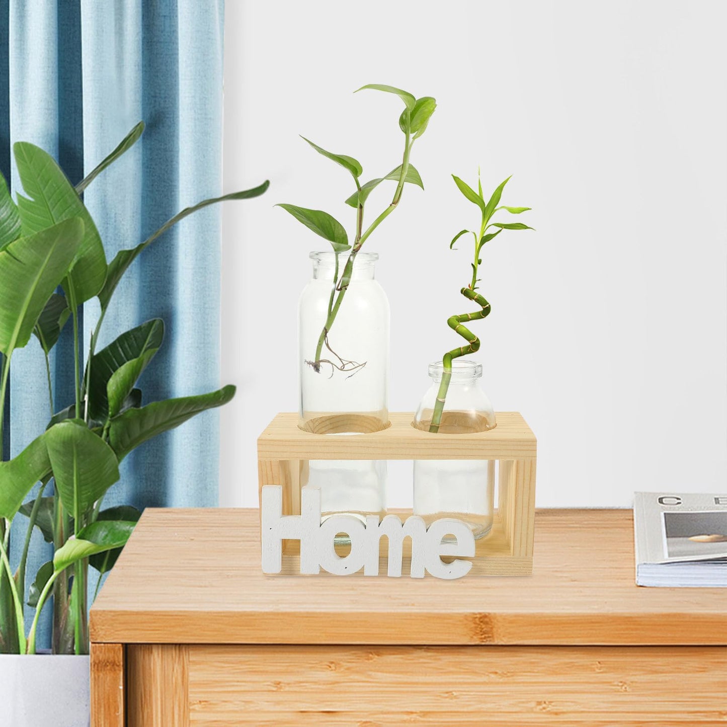 MAGICLULU Glass Vase for Indoor Plants and Hydroponic Garden, Nordic Style Bulb Planter with Natural Wood Frame, Desktop Terrarium Container Set of 2 for Home Décor and Plant Propagation