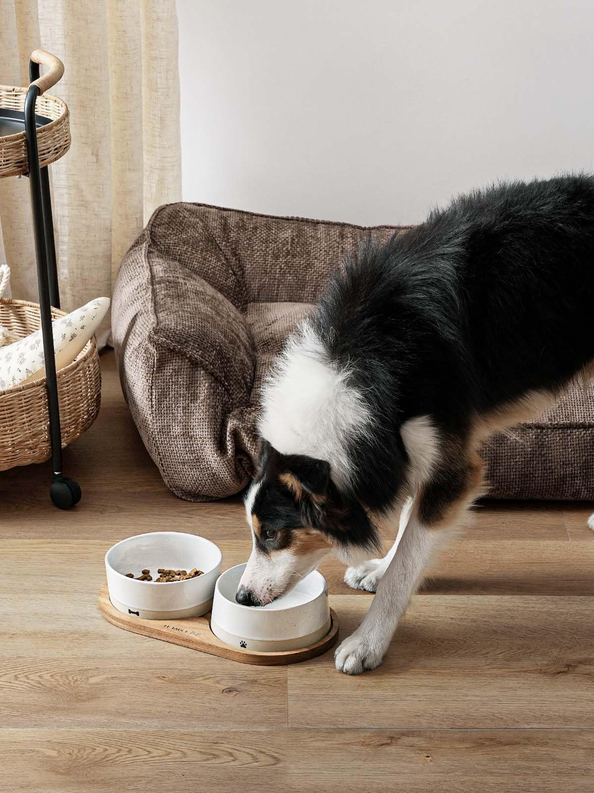 LE TAUCI PET Ceramic Dog Bowls for Medium and Small Dogs - 3.2 Cup Weighted Non-Slip Food and Water Bowls with Acacia Wood Tray, Pet Bowl Set of 2