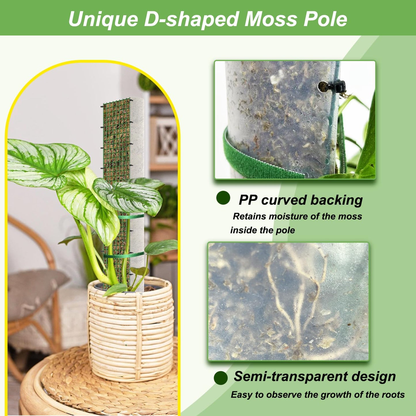 HOLANHING 60" Metal Moss Pole, D Shape Sphagnum Moss Pole, Moss Poles for Climbing Plants, Monstera, Indoor Climbing Plants (4Pcs 60")