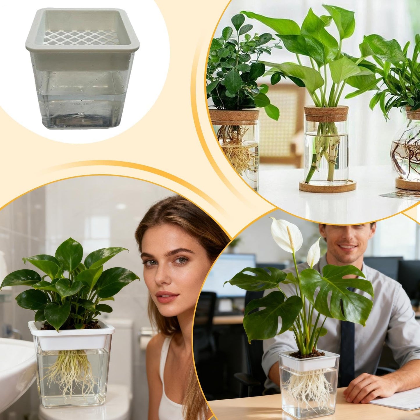 Plant Propagation Station - Clear Soilless Containers for Plants | Hydroponic Pots | For African Violets Alocasia Bedroom Living Room Patio Balcony Desk Porch