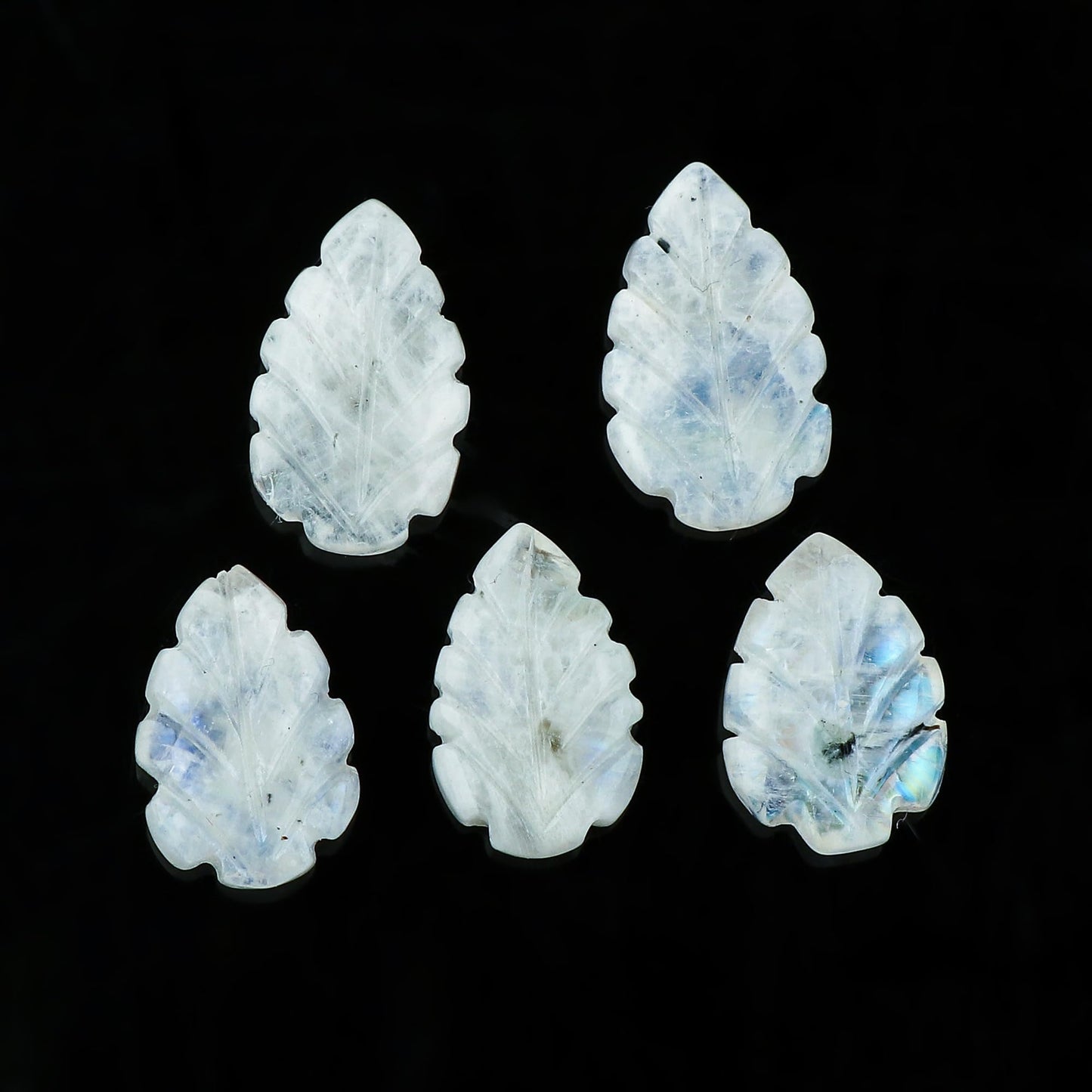 CRYSTALIS Wholesale 5pcs Natural Rainbow Moonstone Carved Loose Gemstone Bulk Cabochons Jewelry Making Supply, Chakra & Healing Polished Stones, Wire Wrapping, DIY, Gem Collection, 15x10mm