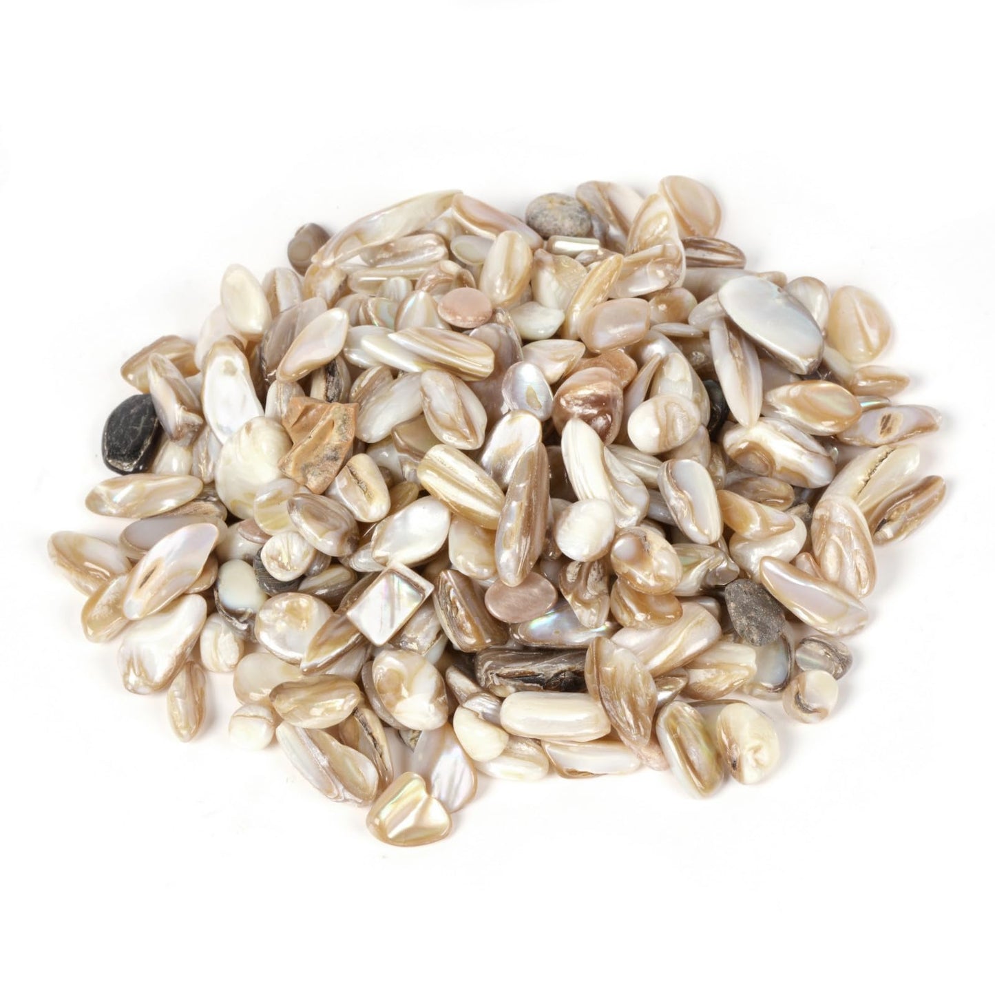 Justinstones Brown Shell Chips Crushed Tumbled Stone Crystal Healing Embellishments 100 Grams
