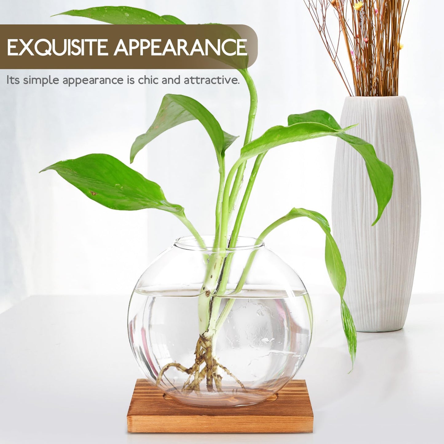 OSOLADY Glass Hydroponic Vase with Wooden Base, Plant Propagation Station for Office and Home Décor, Tabletop Glass Terrarium Hydroponics Display Ornament