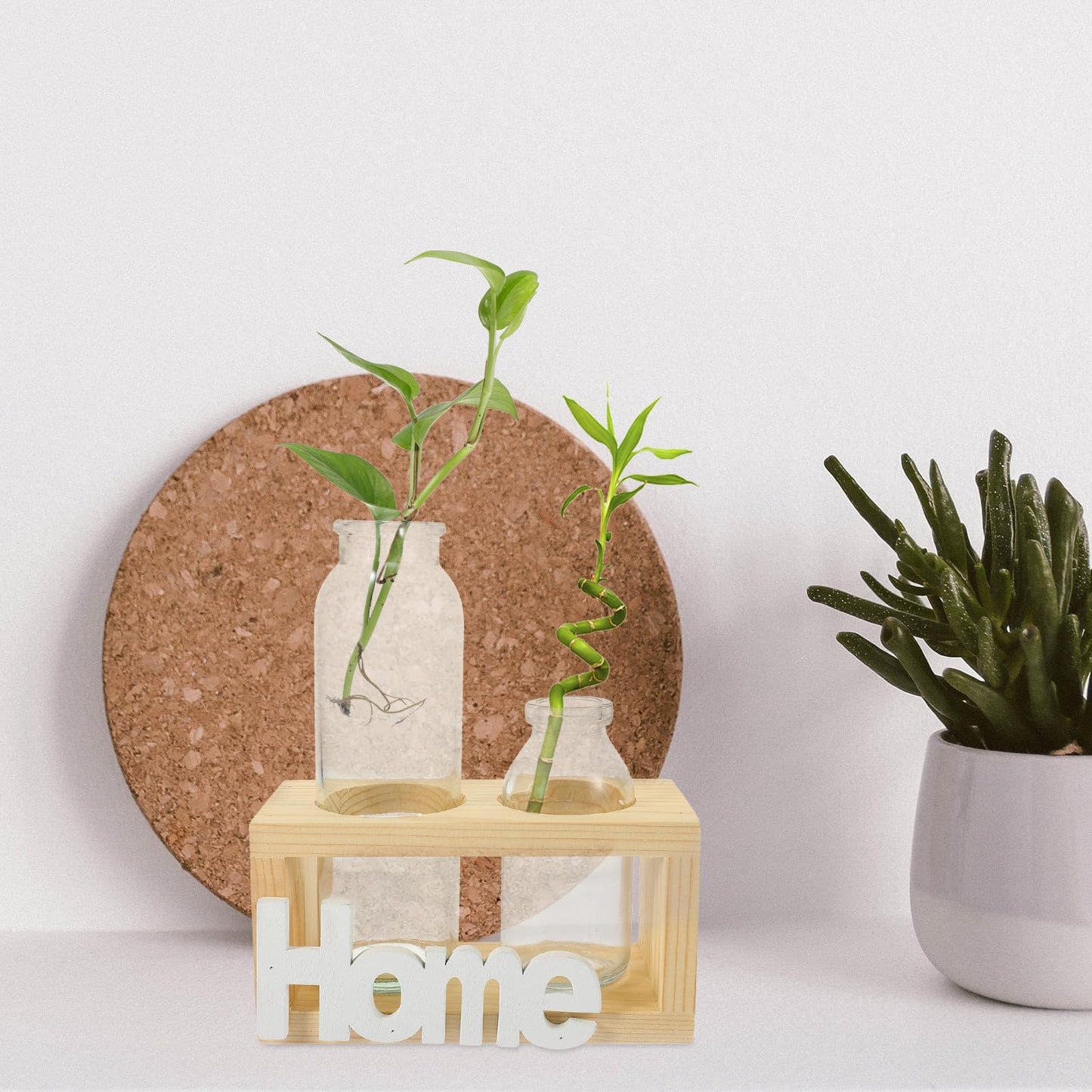 Ciieeo Glass Planter with Wooden Rack, Hydroponic Glass Vase for Plant Propagation, Decorative Flower Terrarium for Home and Office Desktop, 2pcs