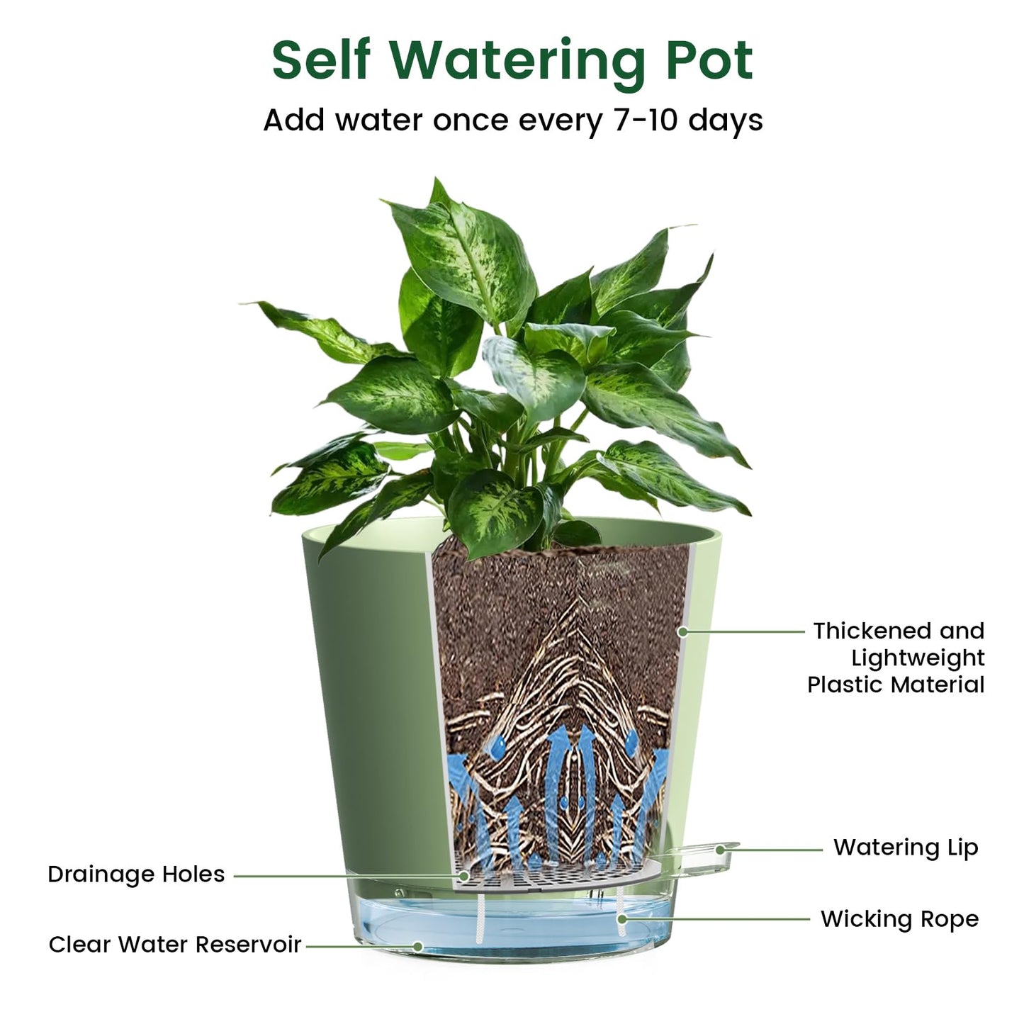 Meowell 6 inch Self Watering Pots for Indoor Outdoor Plants, 3 Pack Flower Plant Pots with Drainage Holes and Clear Reservoirs, Visible Water Level, Plastic Planters with Wicking Rope, Green