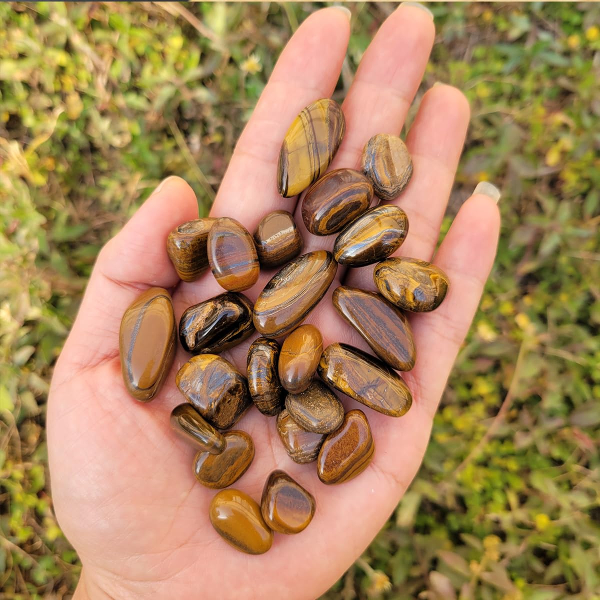 1,000 Carats Tiger's Eye Handpicked Tumbled Stones Crystals Chips Bulk Pocket Stones for Healing, Reiki, Meditation, Witchcraft and Home Decorations (Tiger's Eye)