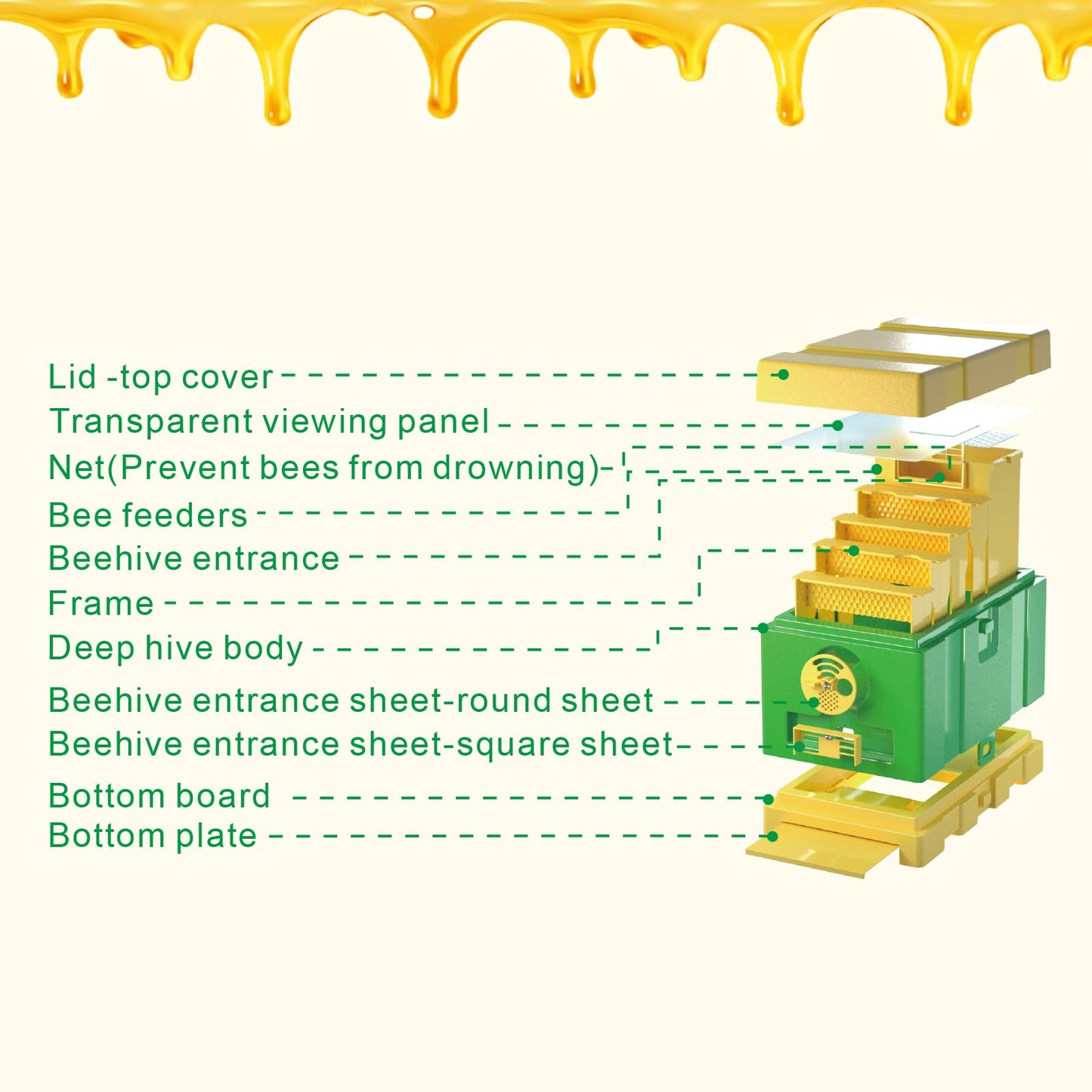 Queen Nuc Box Bee Mating Nuc Hive Bee House Mini Bee Hives Box Queen Rearing Box for Beekeeping (Green)