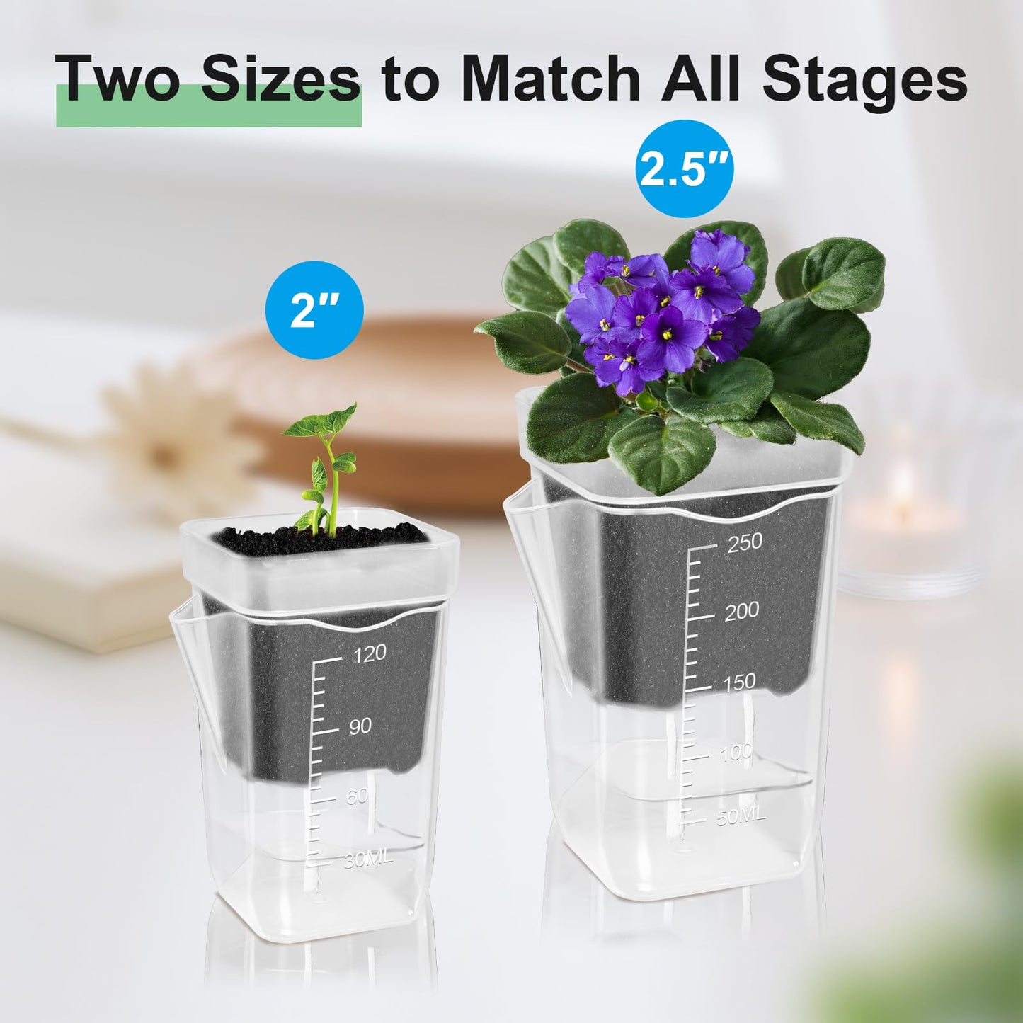 ZPAIO 24 Pack 2.5" Small Self Watering Pots for Indoor Plants, Clear Plant Pots with Drainage & Water Level, Semi Hydroponic Pots for Propagation, African Violet, Cutting and Succulents