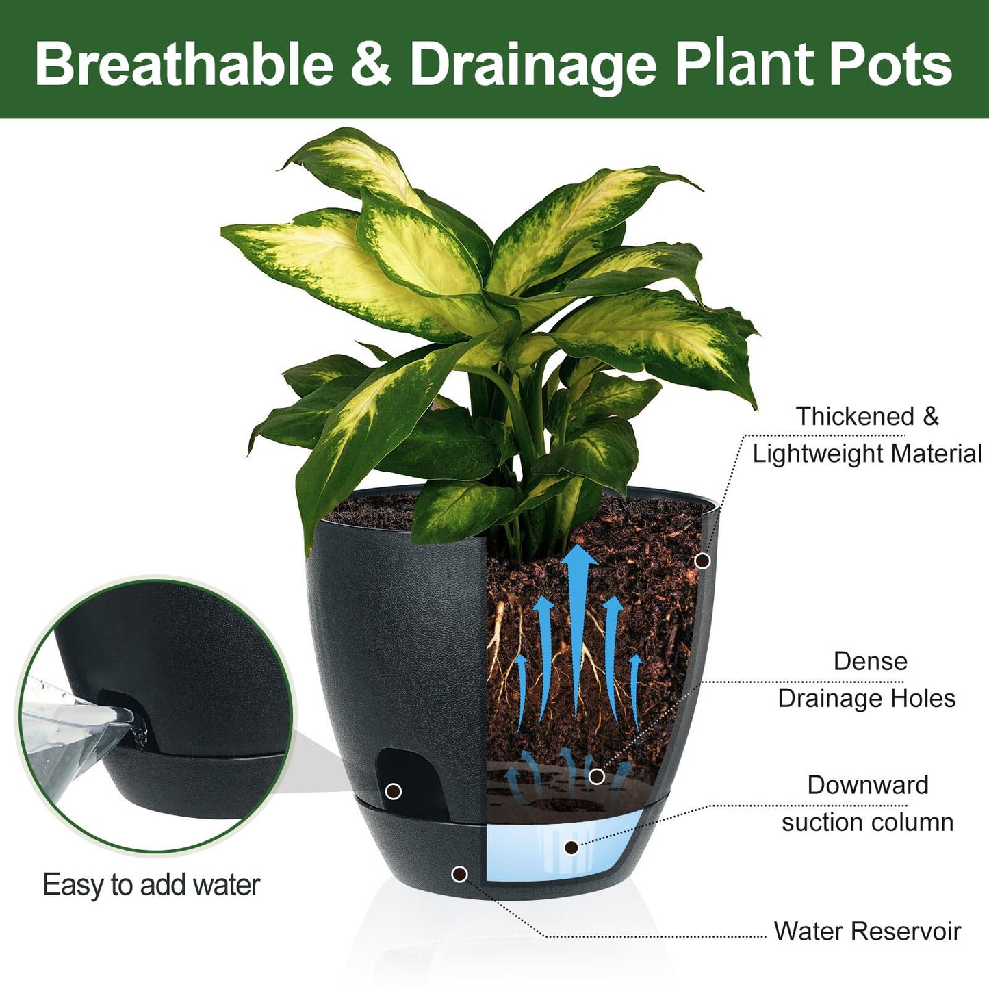 IWNTWY Self Watering Pots Set, 5 Pack 6 Inch Self Watering Pots for Indoor Outdoor Plants, Plastic Planter with Drainage Holes and Deep Reservoir for African Violet, Spider, Orchid