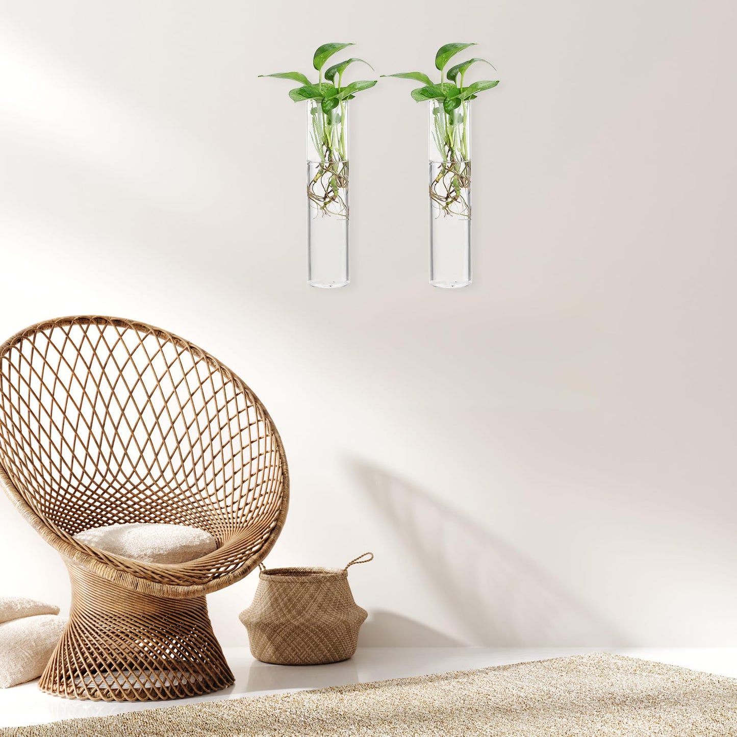 RUNROTOO 2pcs Wall Hanging Glass Vases for Indoor Plant Propagation Stations, Large Round Tube Hydroponic Water Plant Holders, Modern Hanging Terrariums for Home Décor