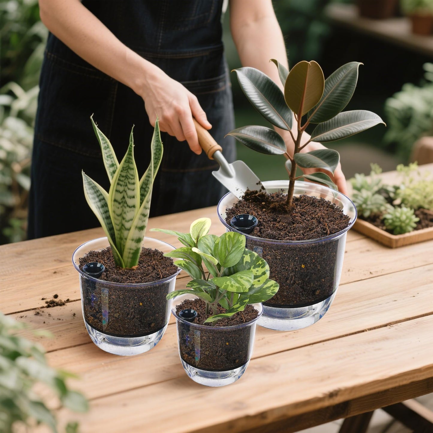 IWNTWY Plant Pots 6 inch Set of 3, Self Watering Pots for Indoor Outdoor Plants Flowers, Self Watering Planters with Reservoir, Drainage Hole and Absorbent Cotton Rope (3 Large)