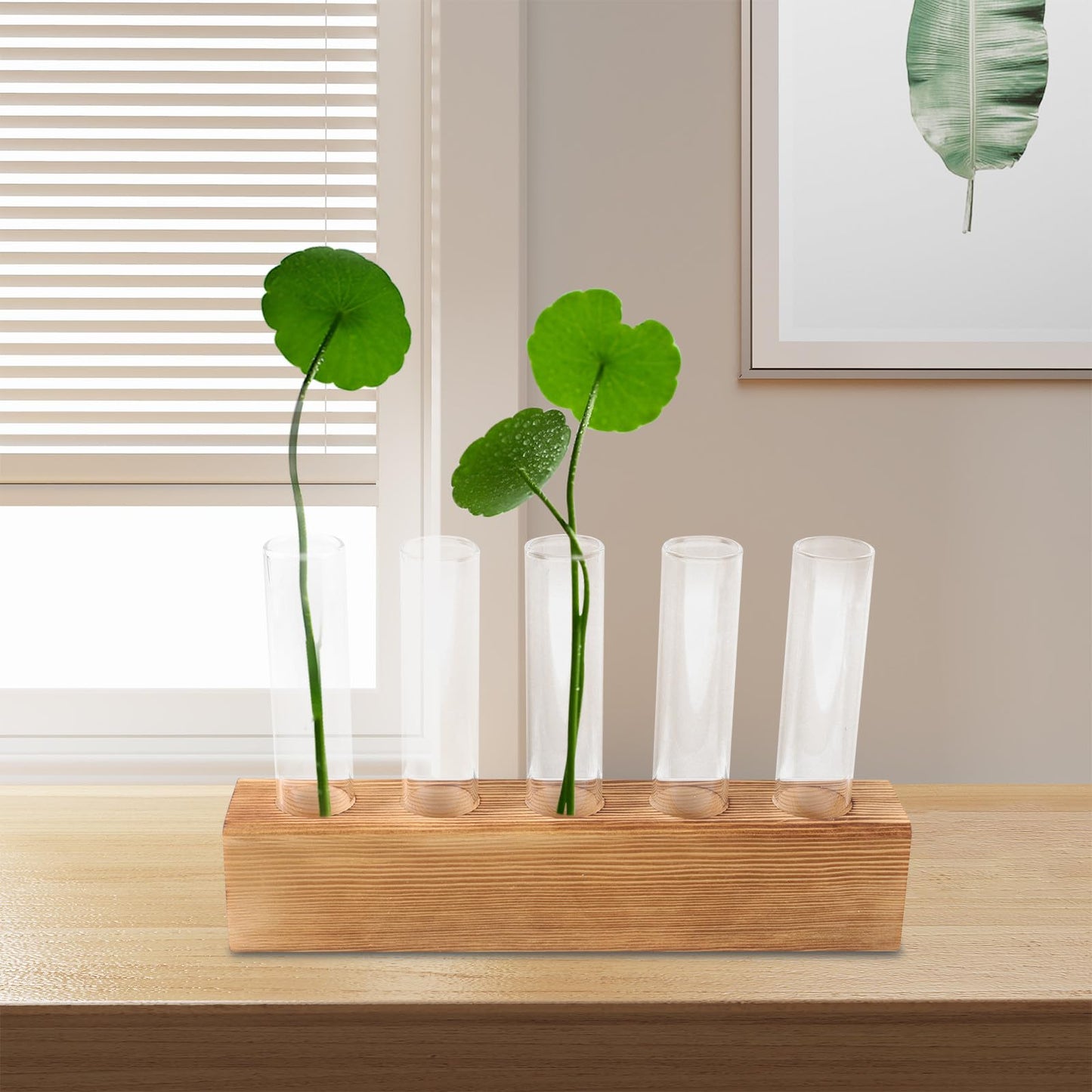 CORHAD Hydroponic Plant Terrarium with 5-Hole Glass Vase and Wooden Stand, Desktop Water Planter for Indoor Home Décor and Plant Propagation
