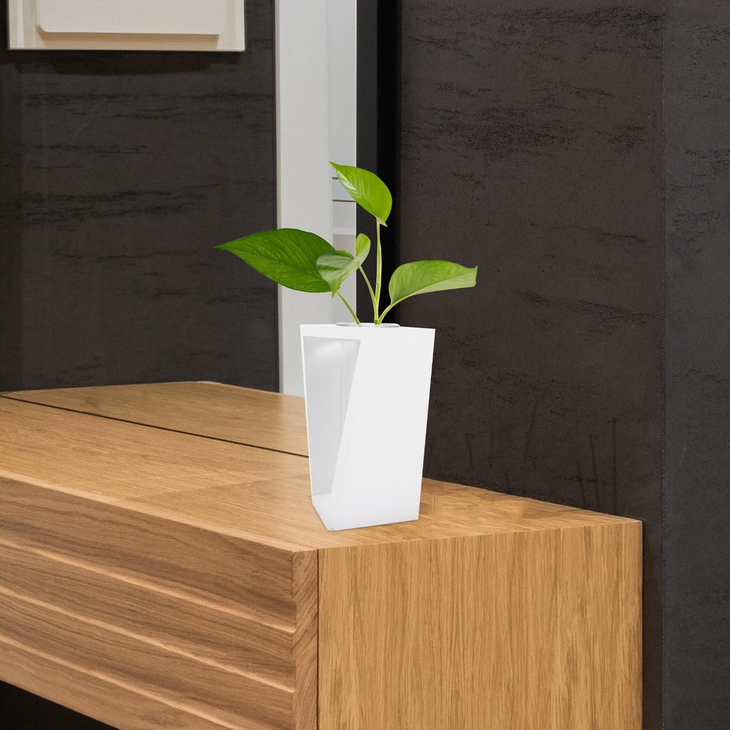 Holibanna Wood Frame Test Tube Propagation Vase, Nordic Style Glass Plant Terrarium with White Stand for Hydroponic Indoor Home Décor and Green Plant Display