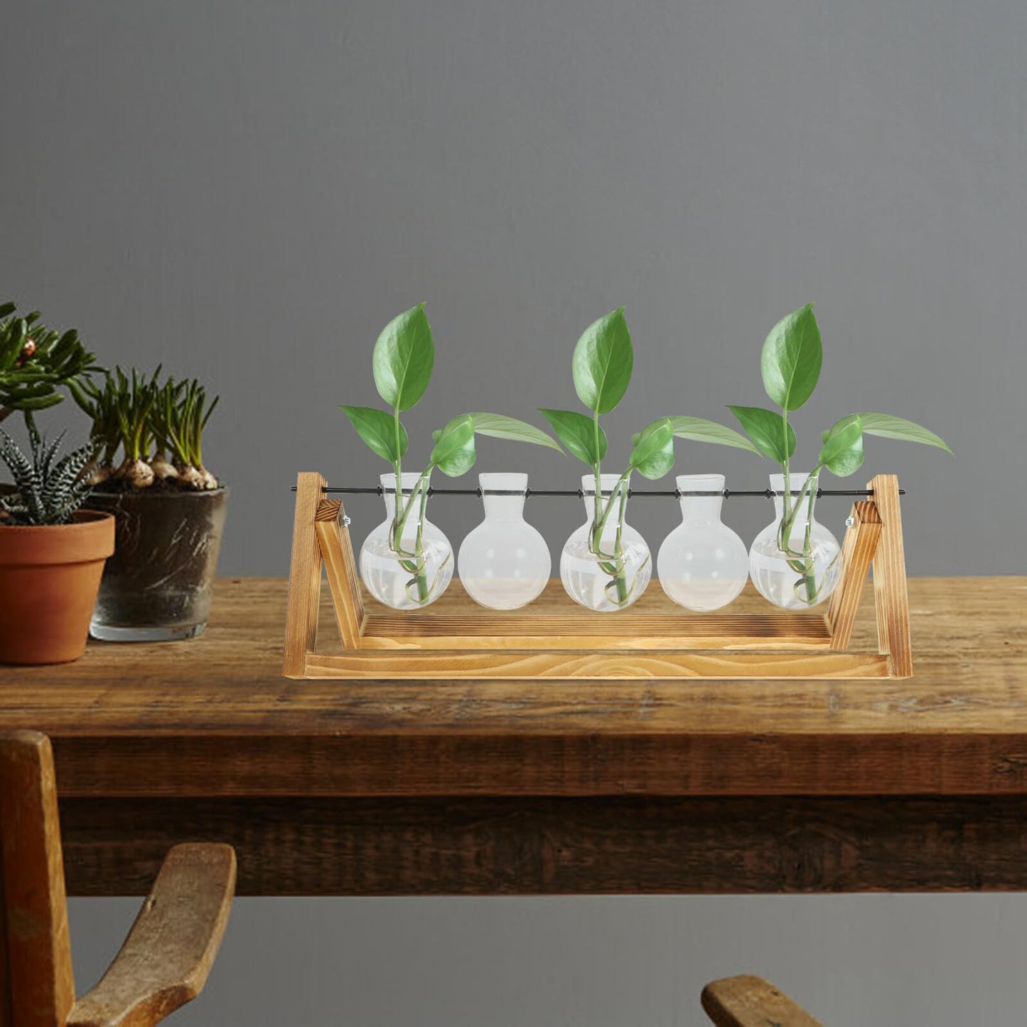 FOMIYES Glass Flower Vase Propagation Station with Wooden Stand, Hydroponic Plant Vases for Desktop Home Decoration, 5pcs Set for Indoor Green Plant Growing and Terrarium Display