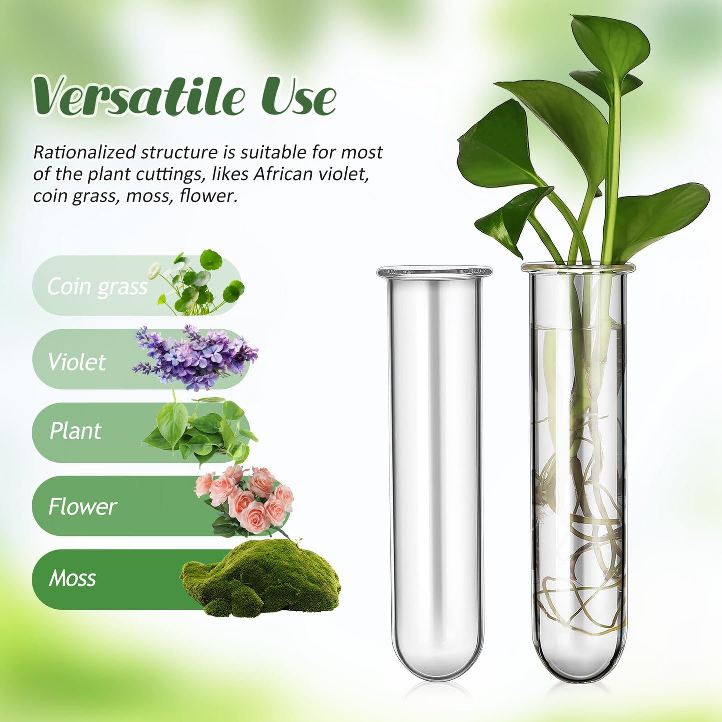 TOYANDONA 5pcs Glass Propagation Tubes for Plants Small Hydroponic Test Tube Vases for Flowers Home Decoration Plant Terrarium Station 2.5x3x11cm